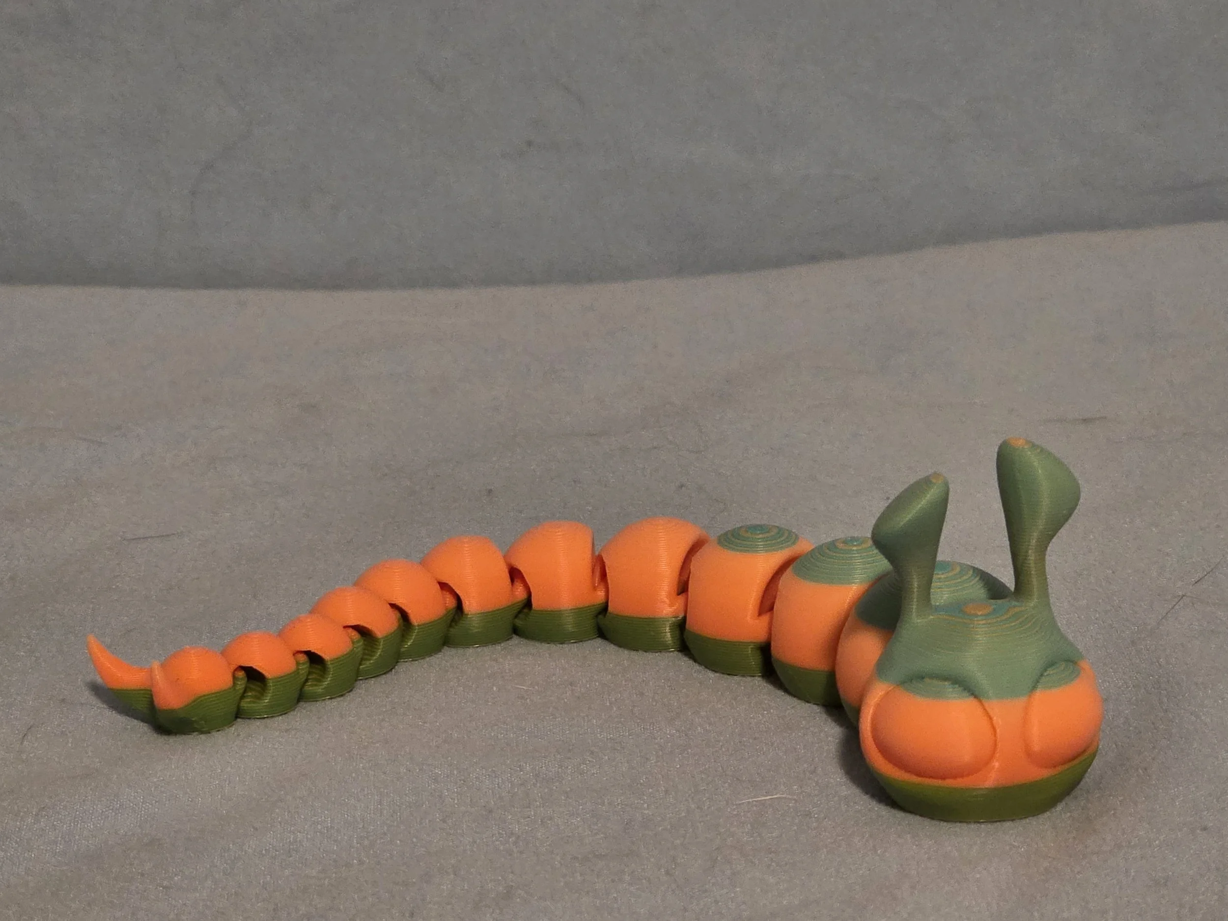 Slug Multi Color - 12.jpg