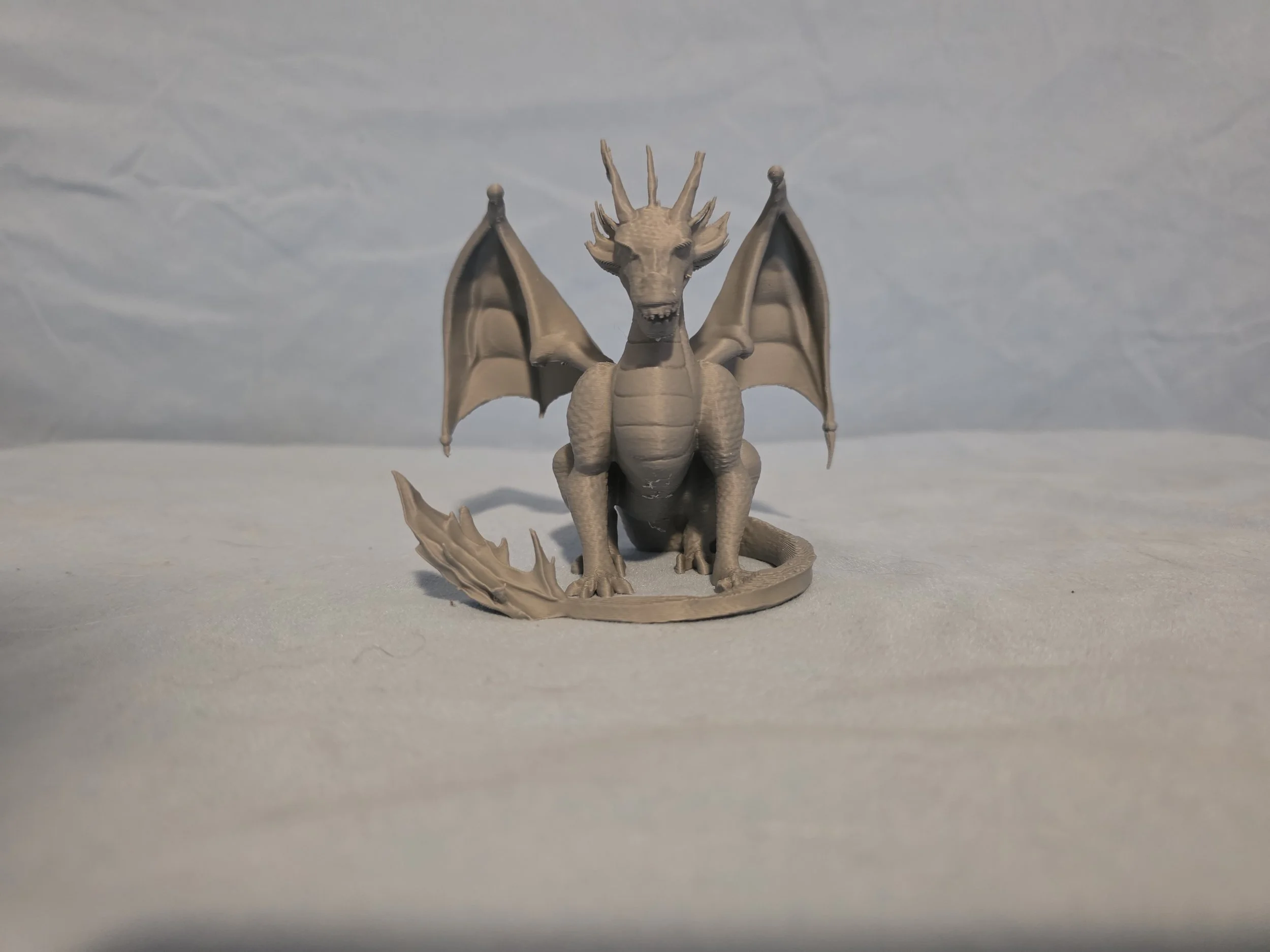 Dragon 2 - Grey 1.jpg
