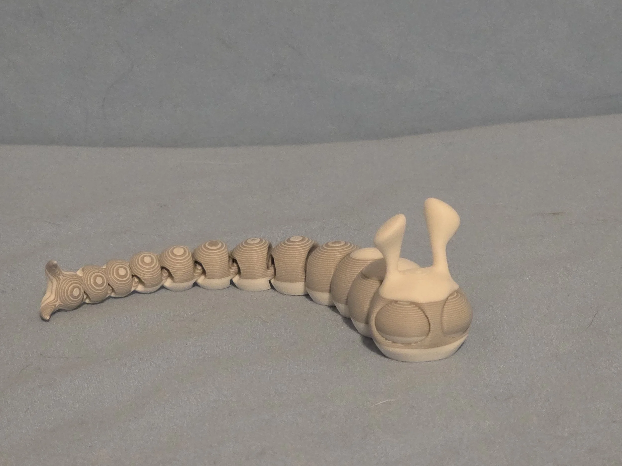 Slug Multi Color - 13.jpg