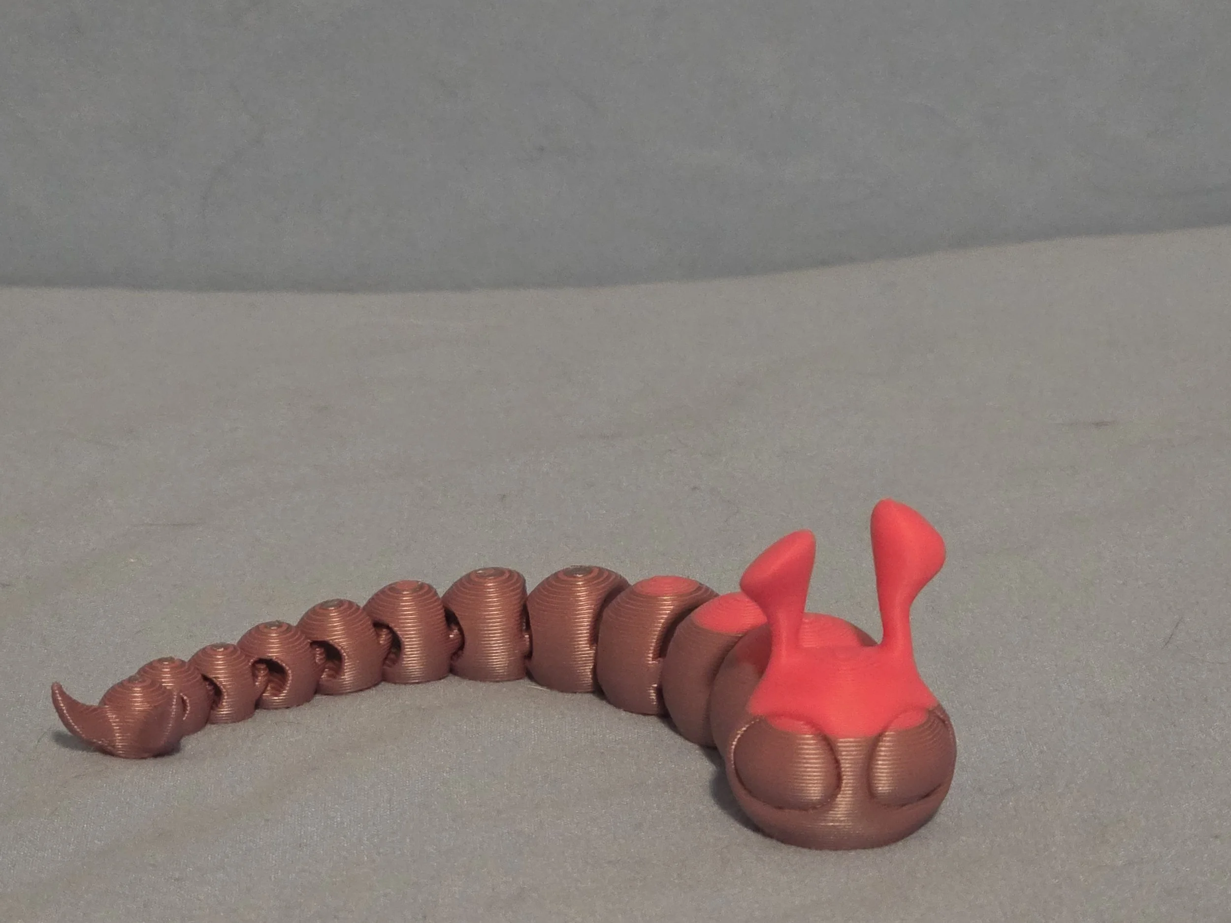 Slug Multi Color - 10.jpg