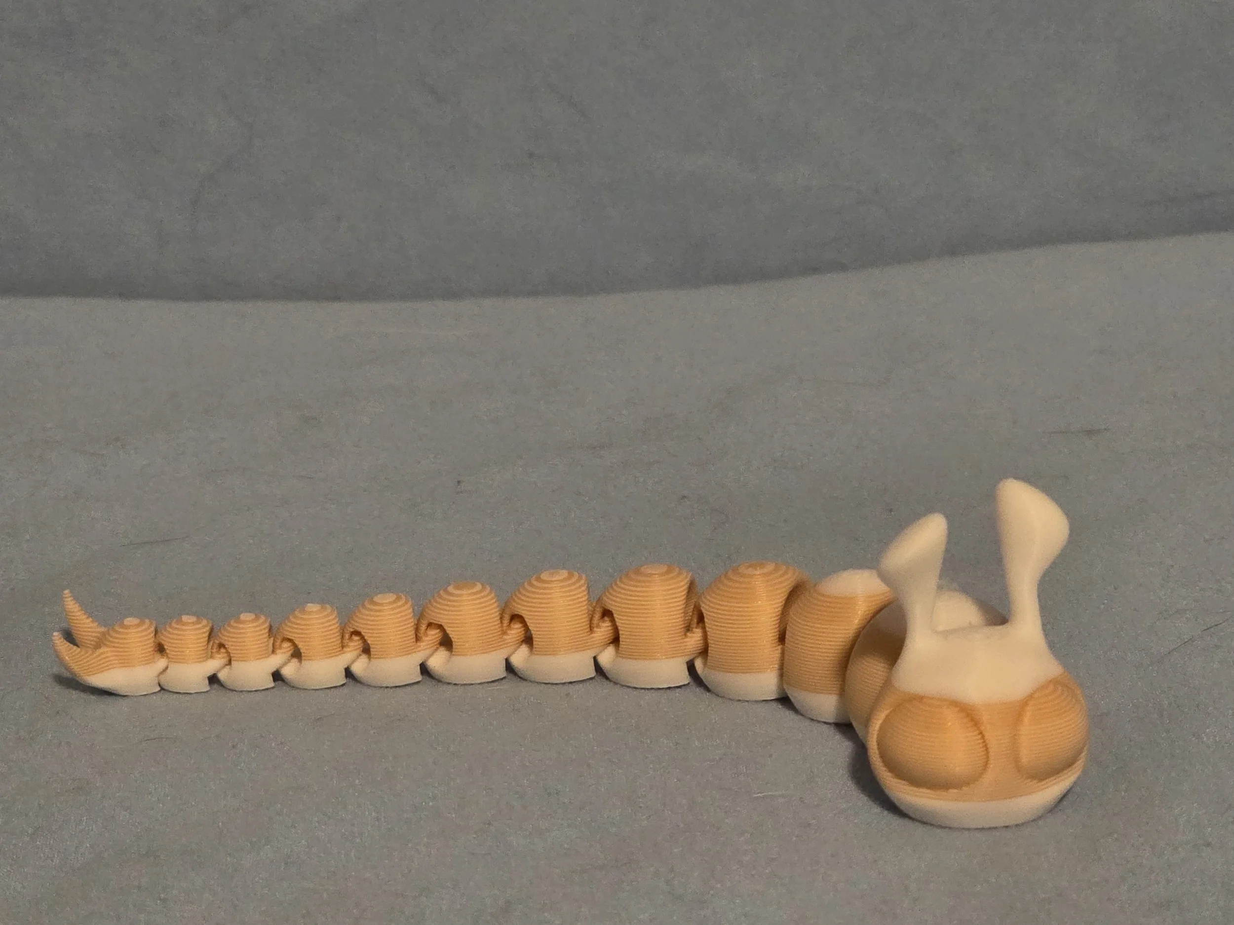 Slug Multi Color - 6.jpg