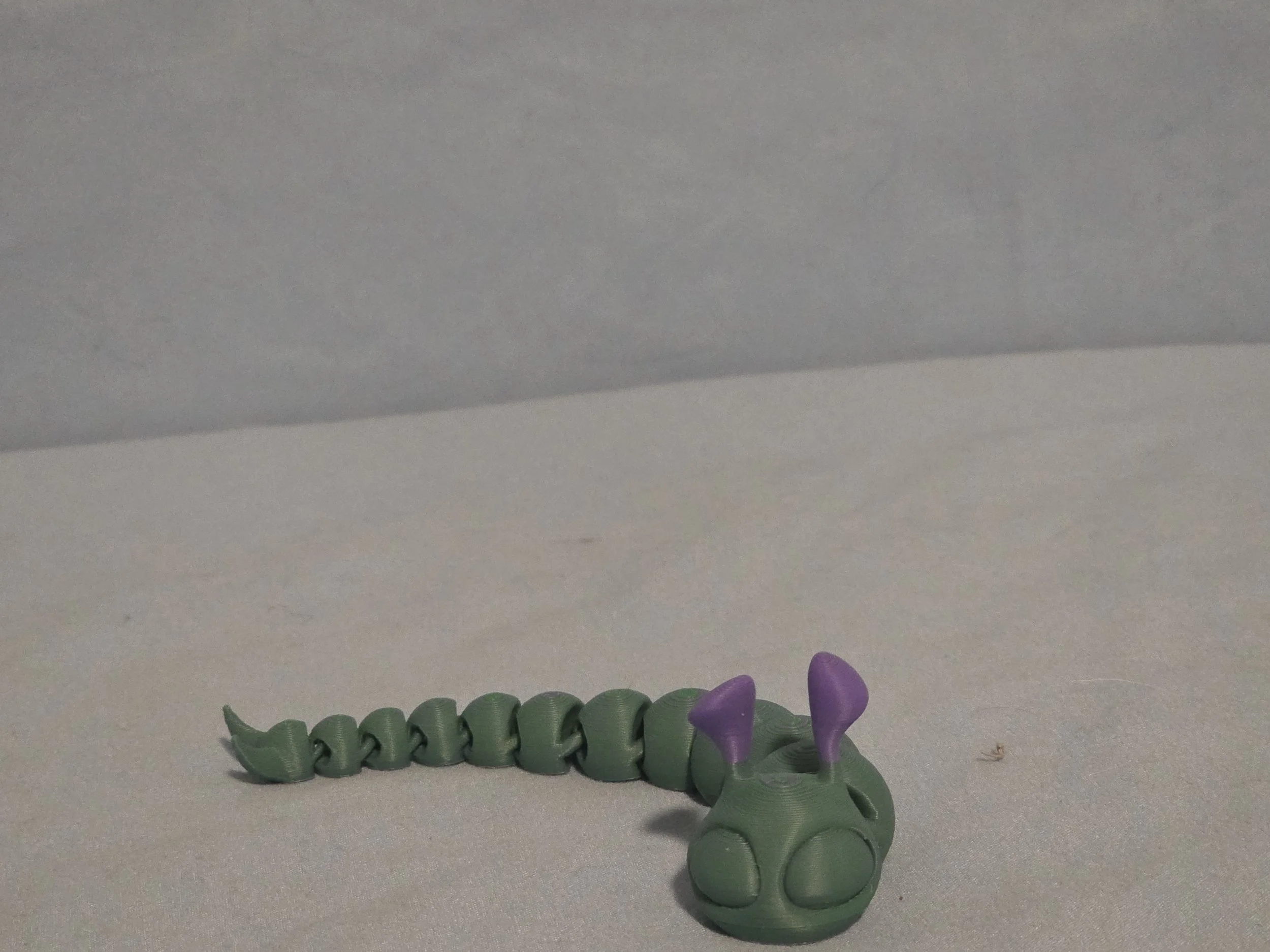 Slug Multi Color - 15.jpg