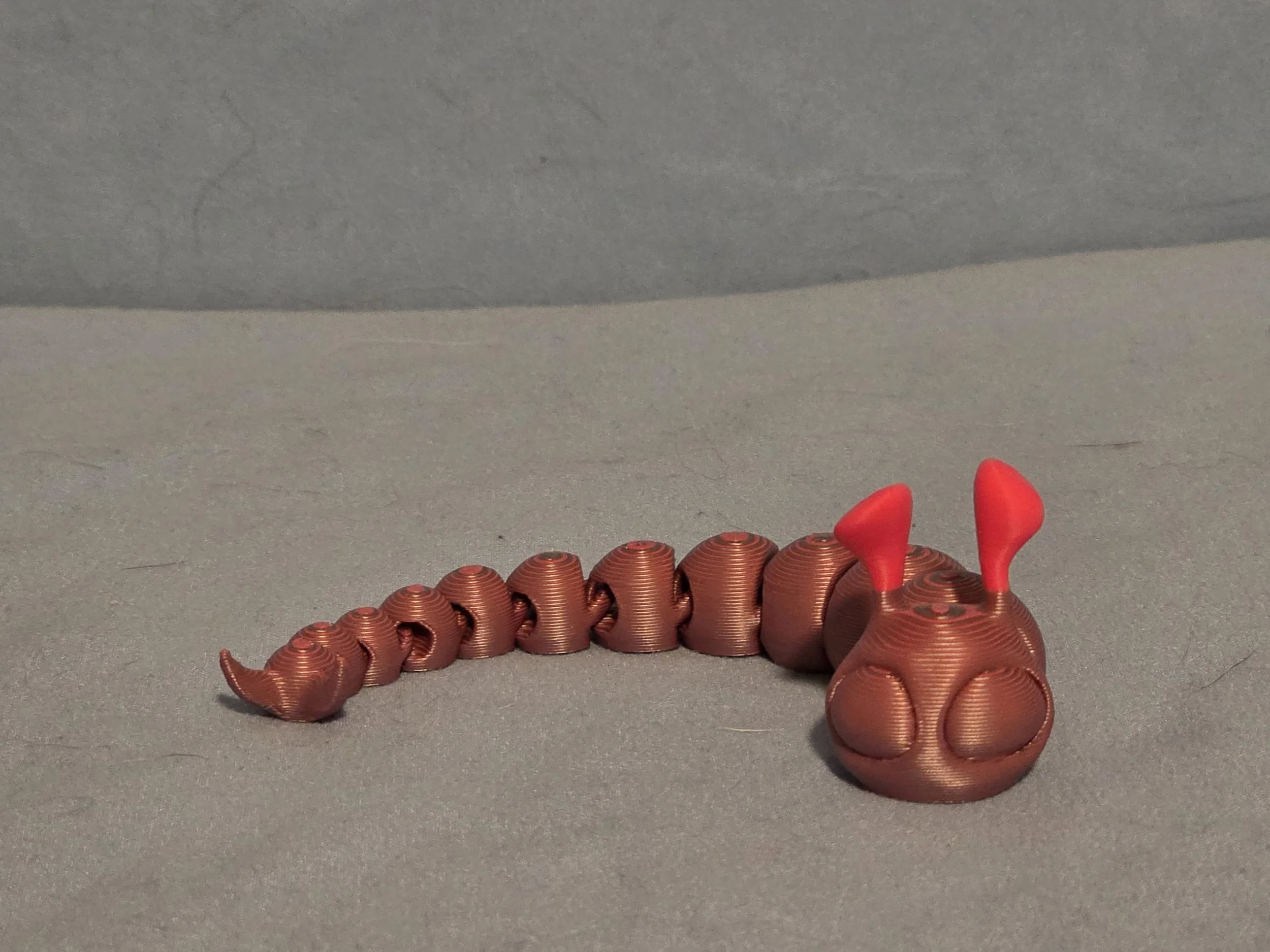 Slug Multi Color - 2.jpg