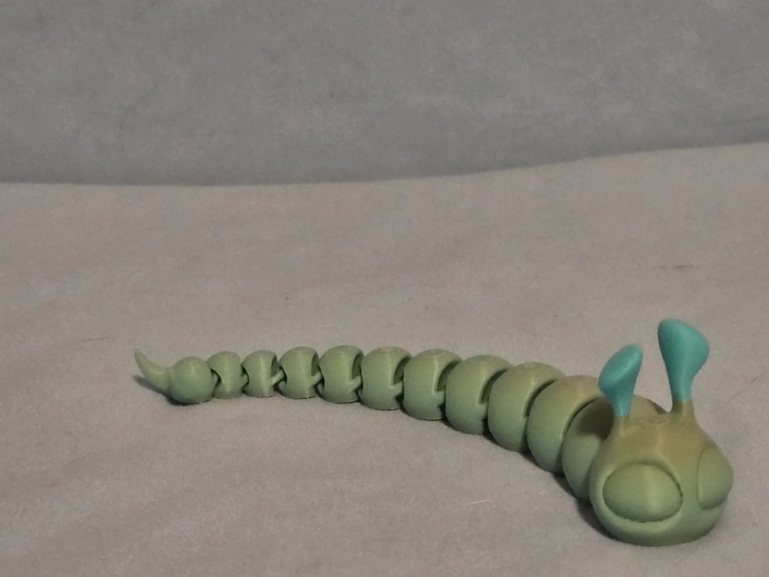 Slug Multi Color - 7.jpg