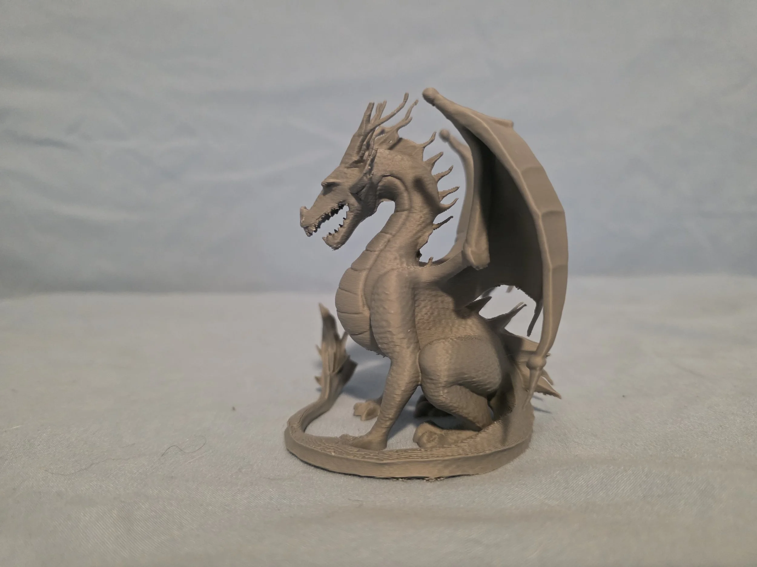 Dragon 2 - Grey 2.jpg