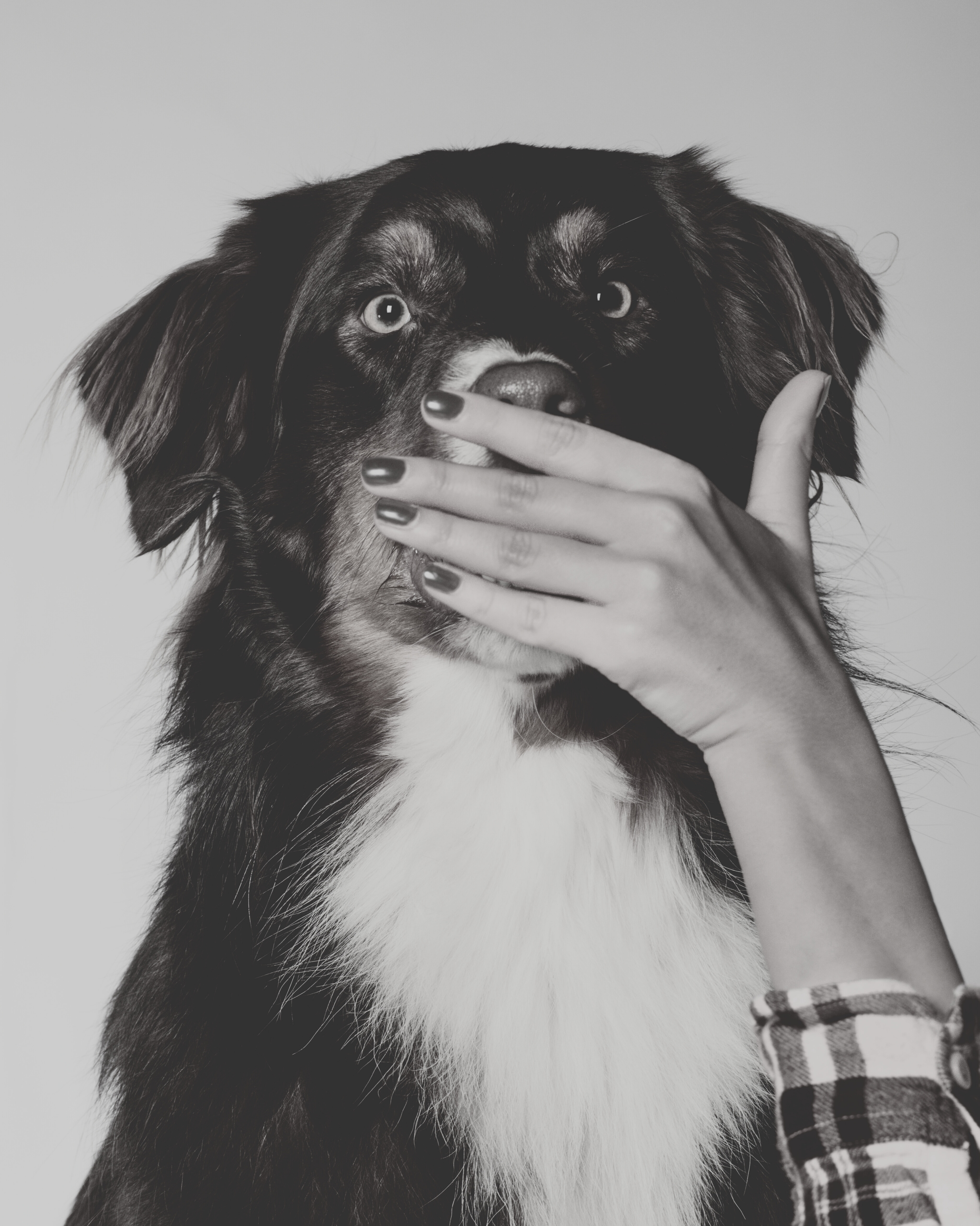 A black and white photo of a dog with a person's hand covering part of its face.