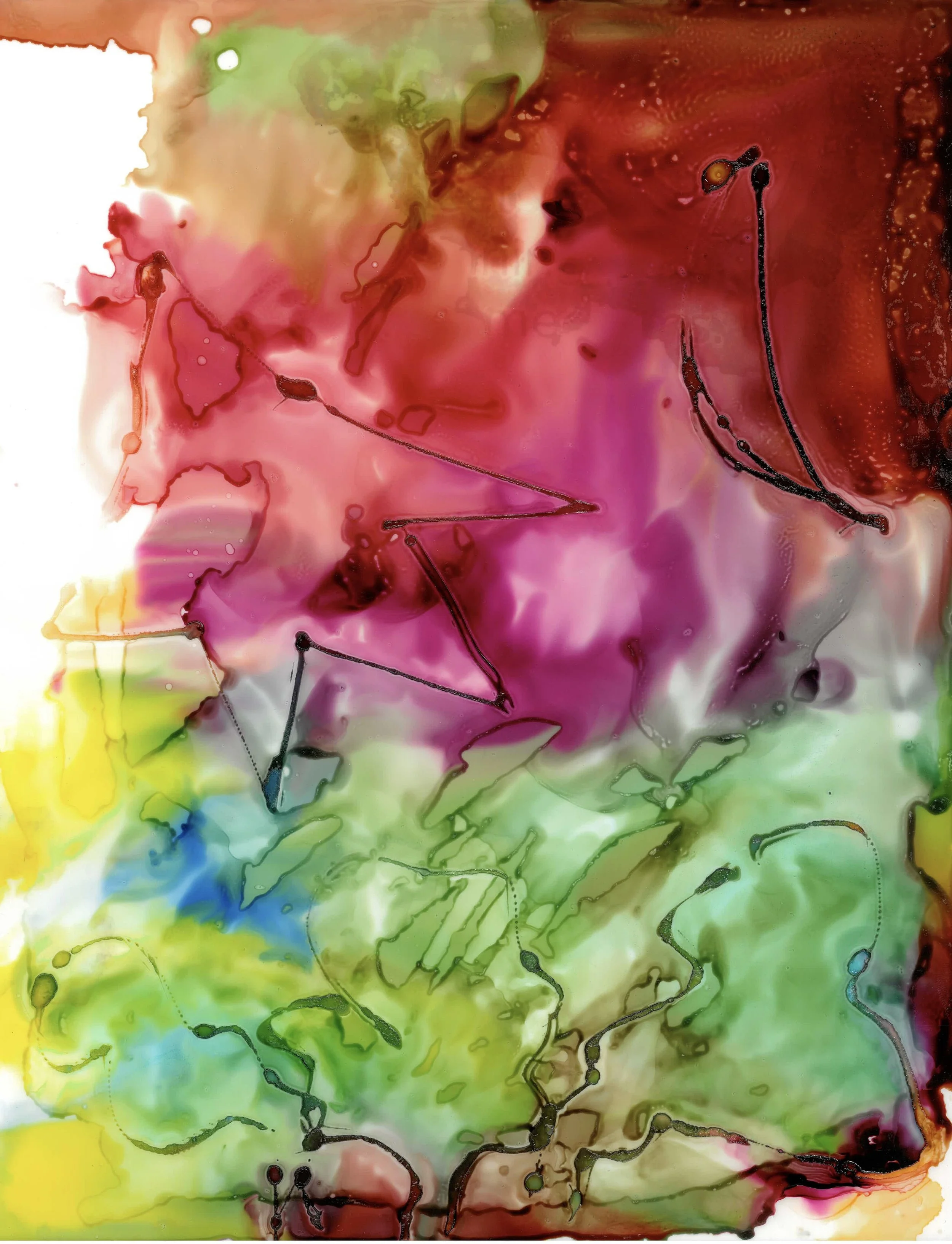 Tom Creek_11X14_VERTICAL.jpeg