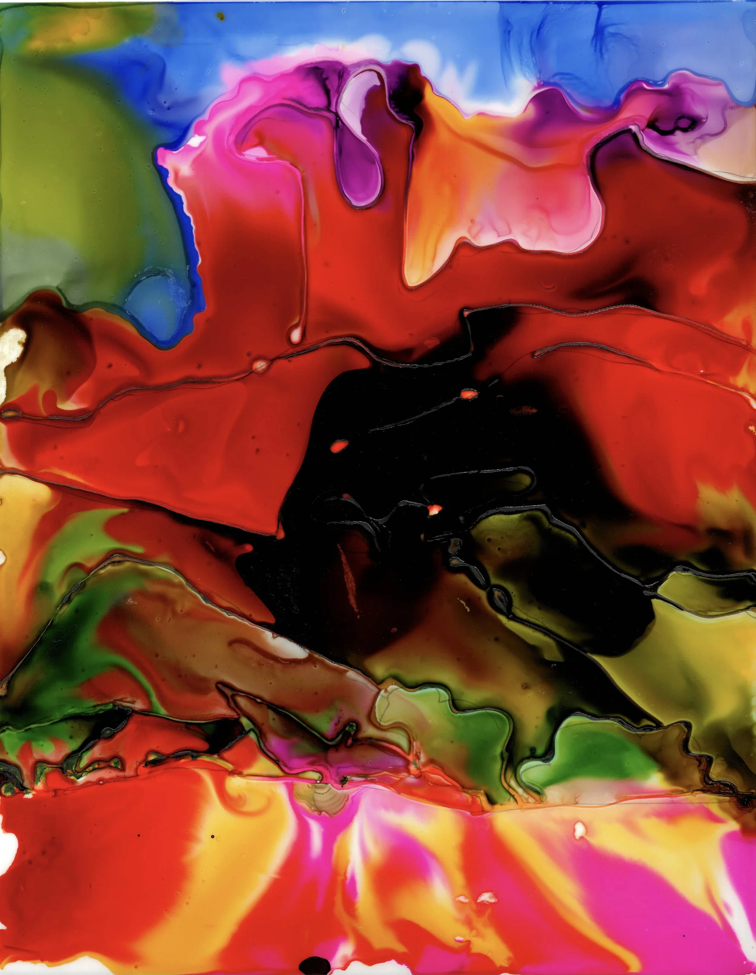 Hummocks Trail_11X14_VERTICAL.jpeg