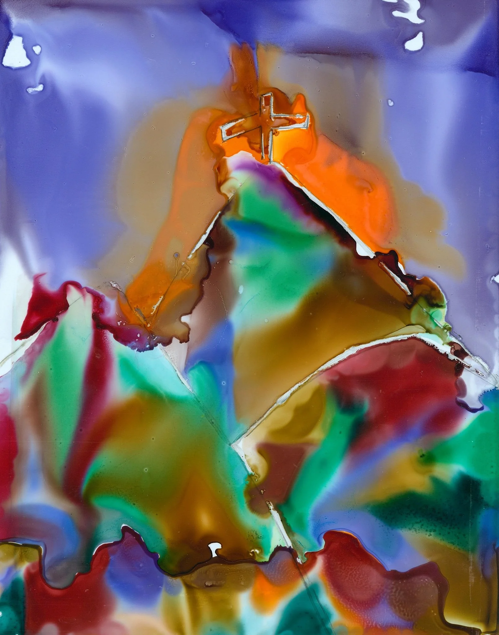 Tree of Life Olympic National Park