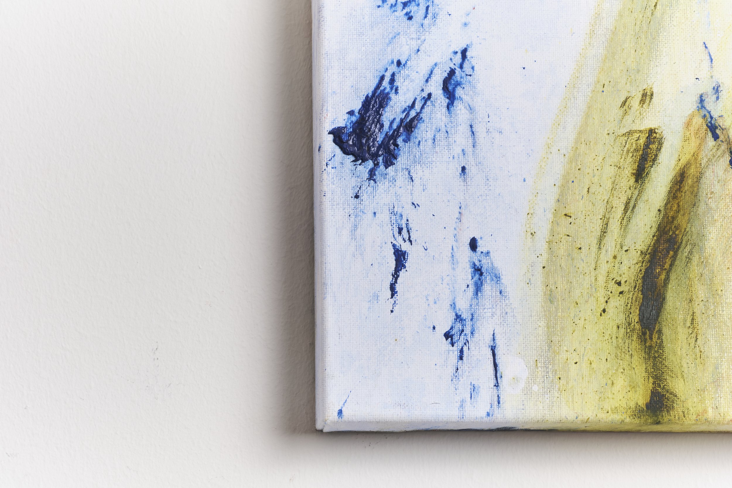 Desert Rose DETAIL3.jpg