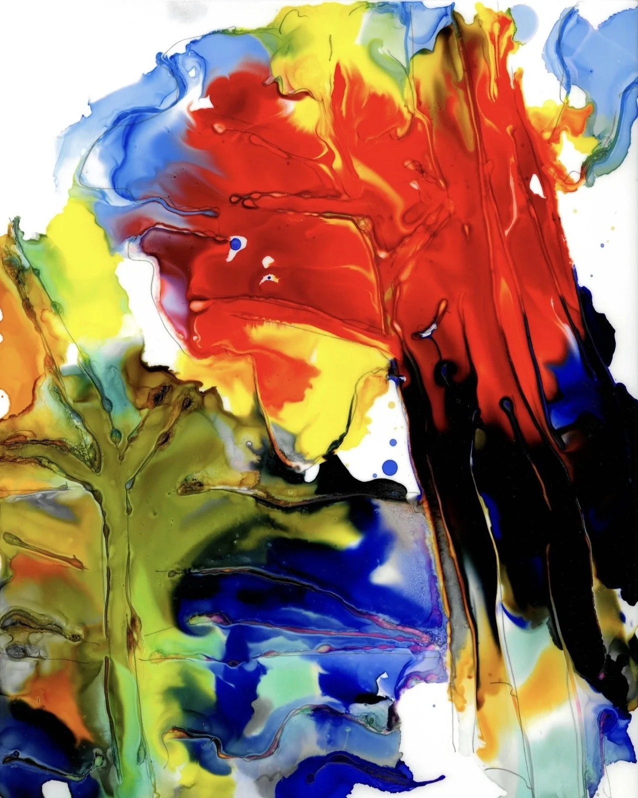 Spruce Trail_11X14_VERTICAL.jpeg