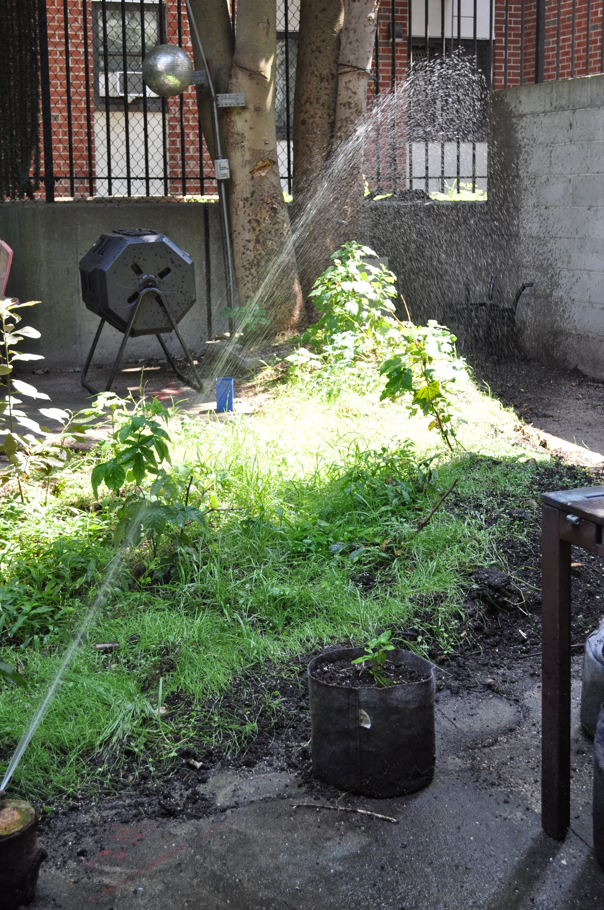 Jay Day Works in his Backyard Studio Full of Plants