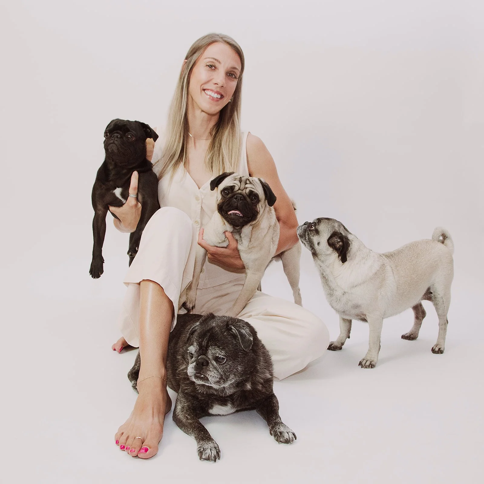Photo of Pugs with Coastal Roots Microbakery in Norfolk, VA done by Fairy Bread Photo based in Richmond, VA