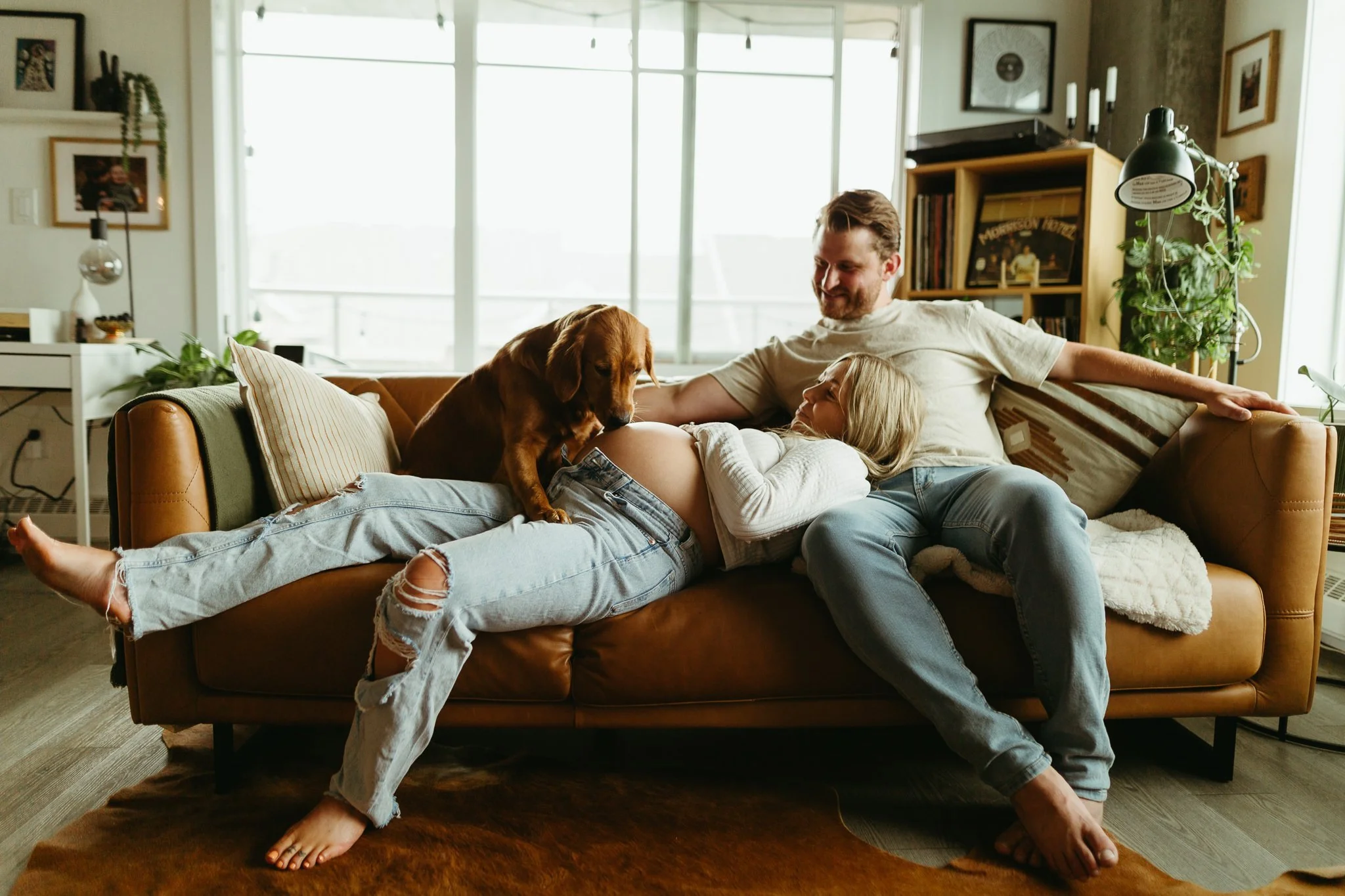 Cool at home lifestyle maternity session with golden retriever dog and mid century decor 
