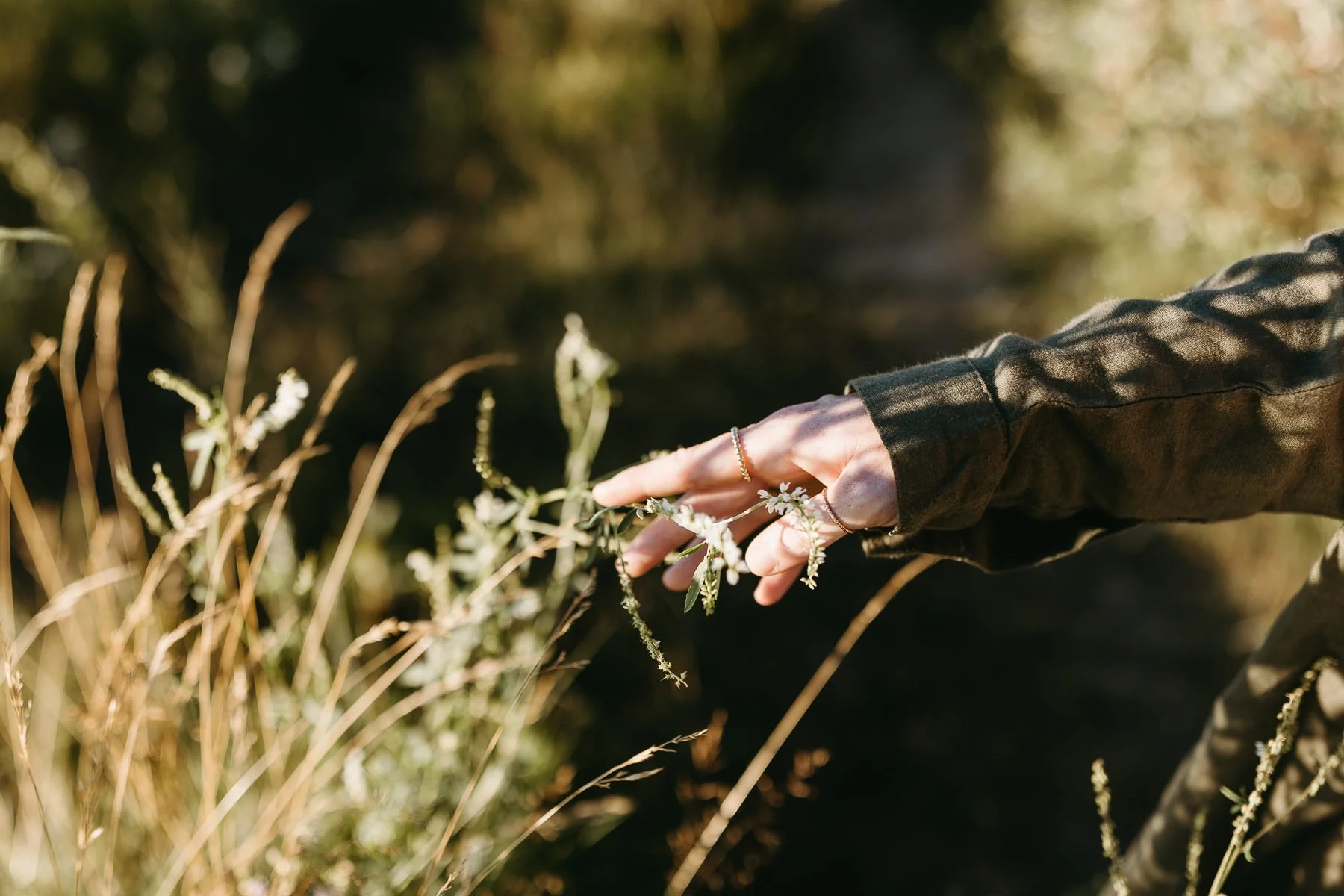 Calgary Maternity Photographer