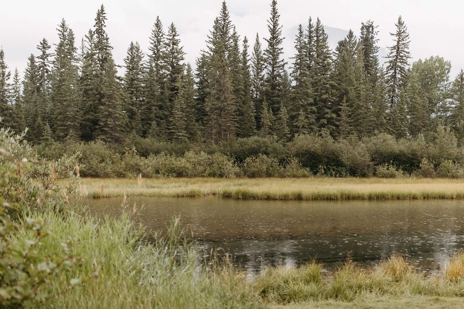 Rainy Wedding Day in Canmore