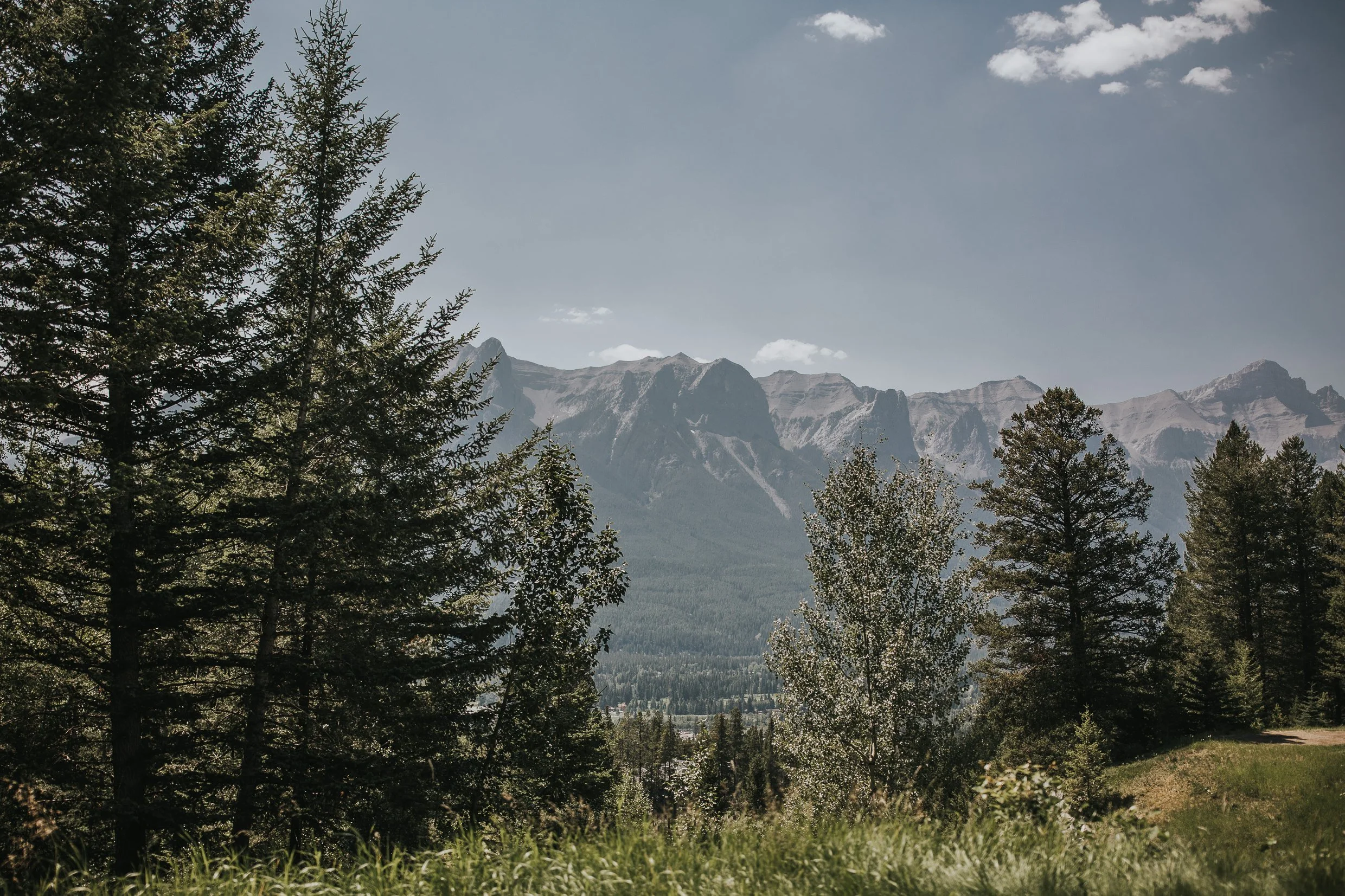 Rocky Mountain Wedding 