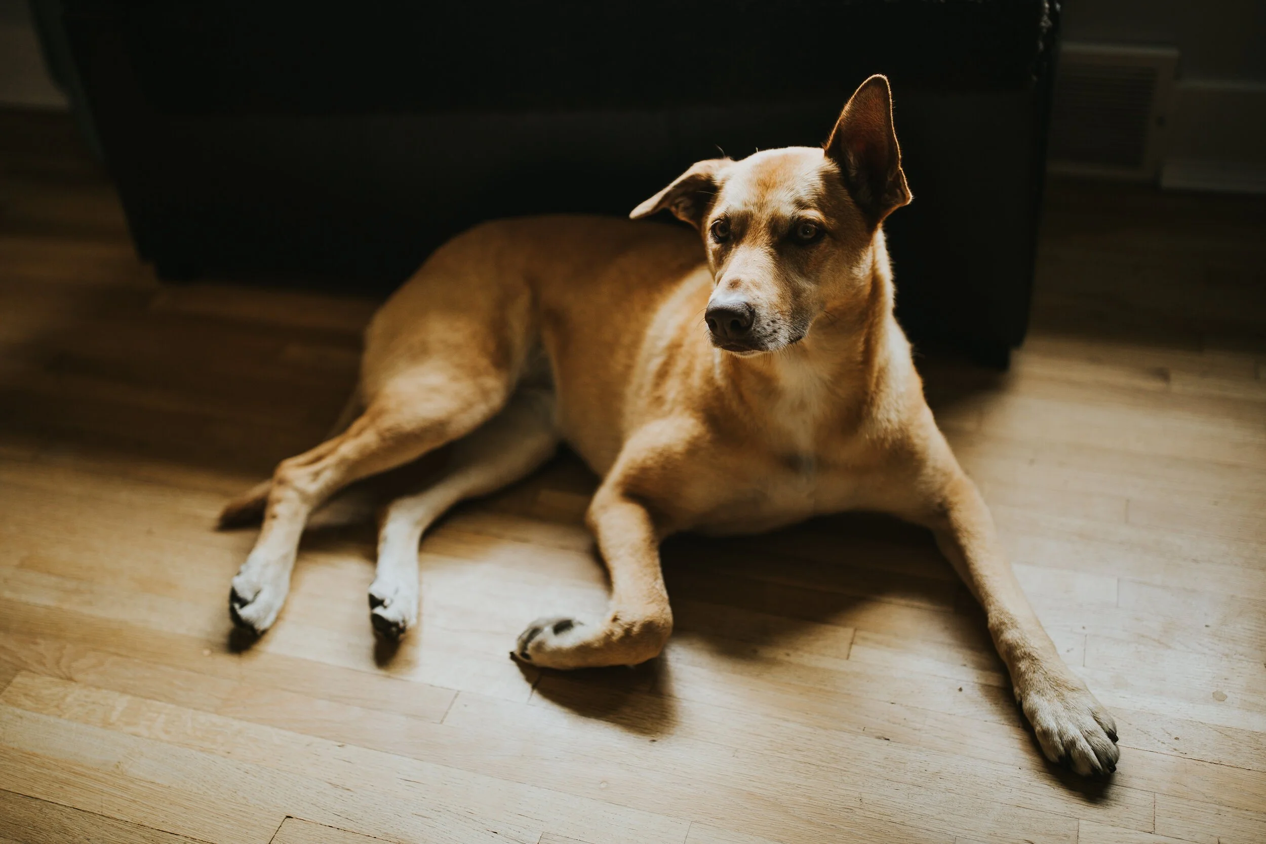Intimate-Calgary-Elopement