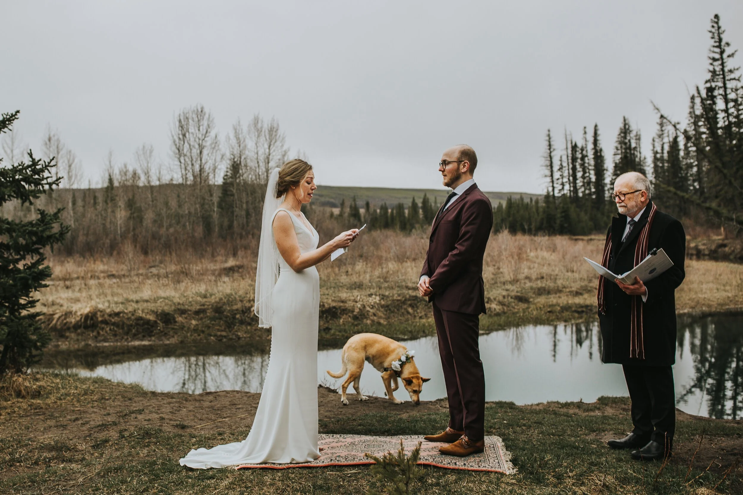 Intimate-Calgary-Forest-Elopement