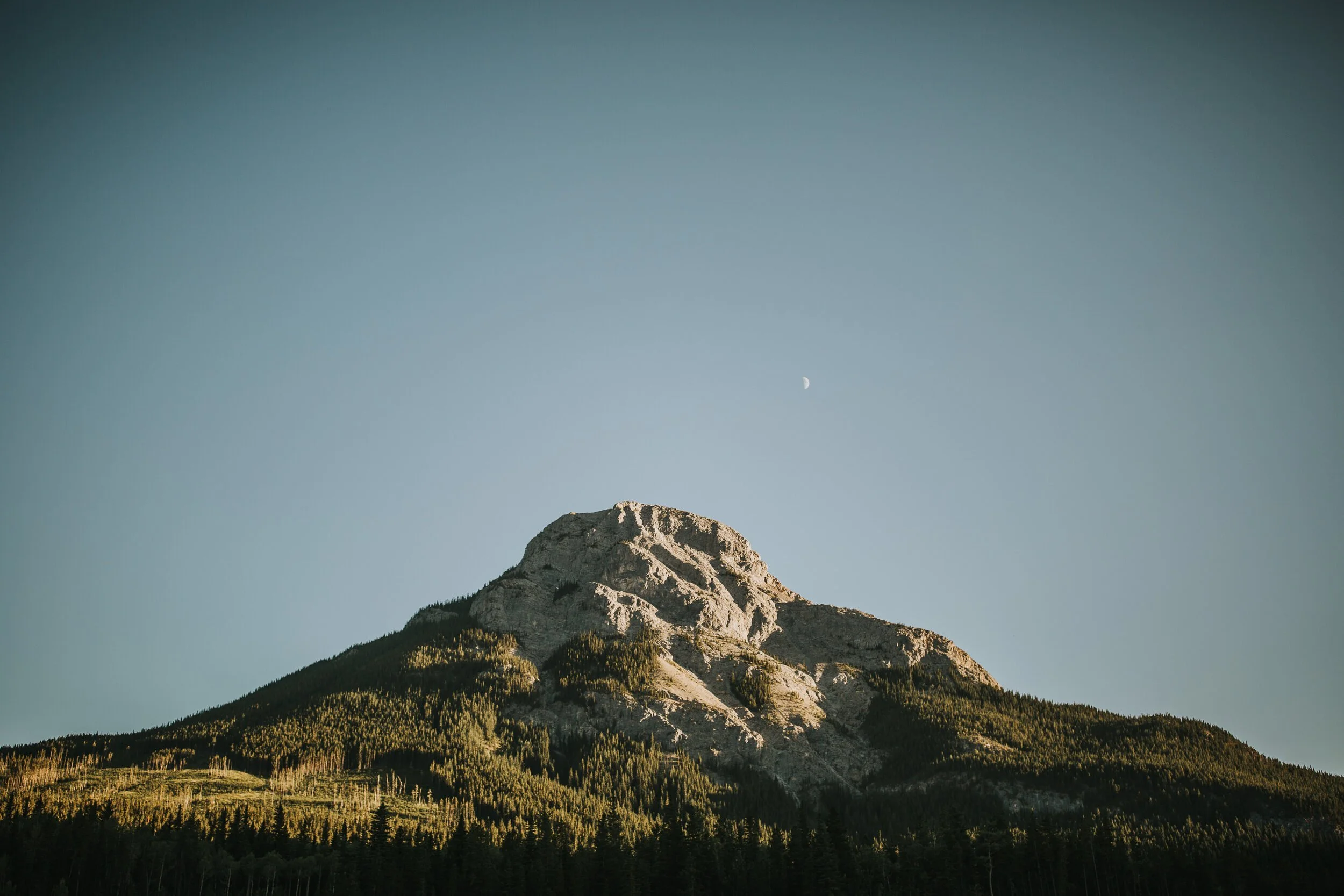 Kananaskis Summer Maternity Session 