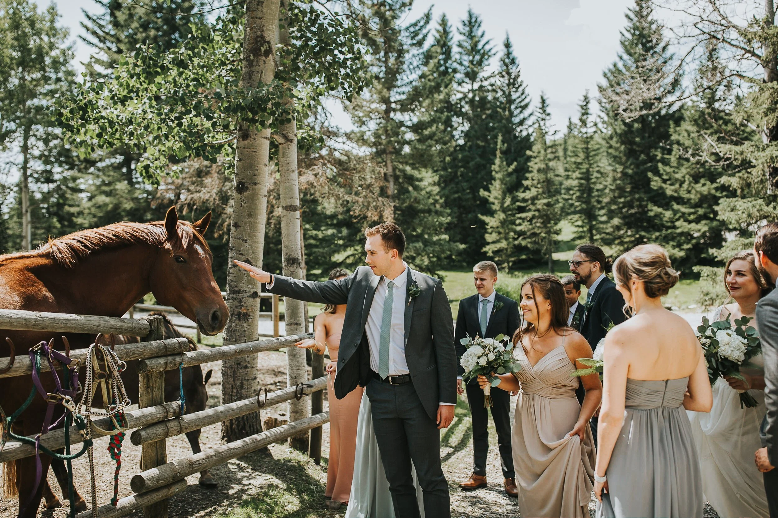 The-Boutique-Estate-Wedding-Bragg-Creek-Alberta
