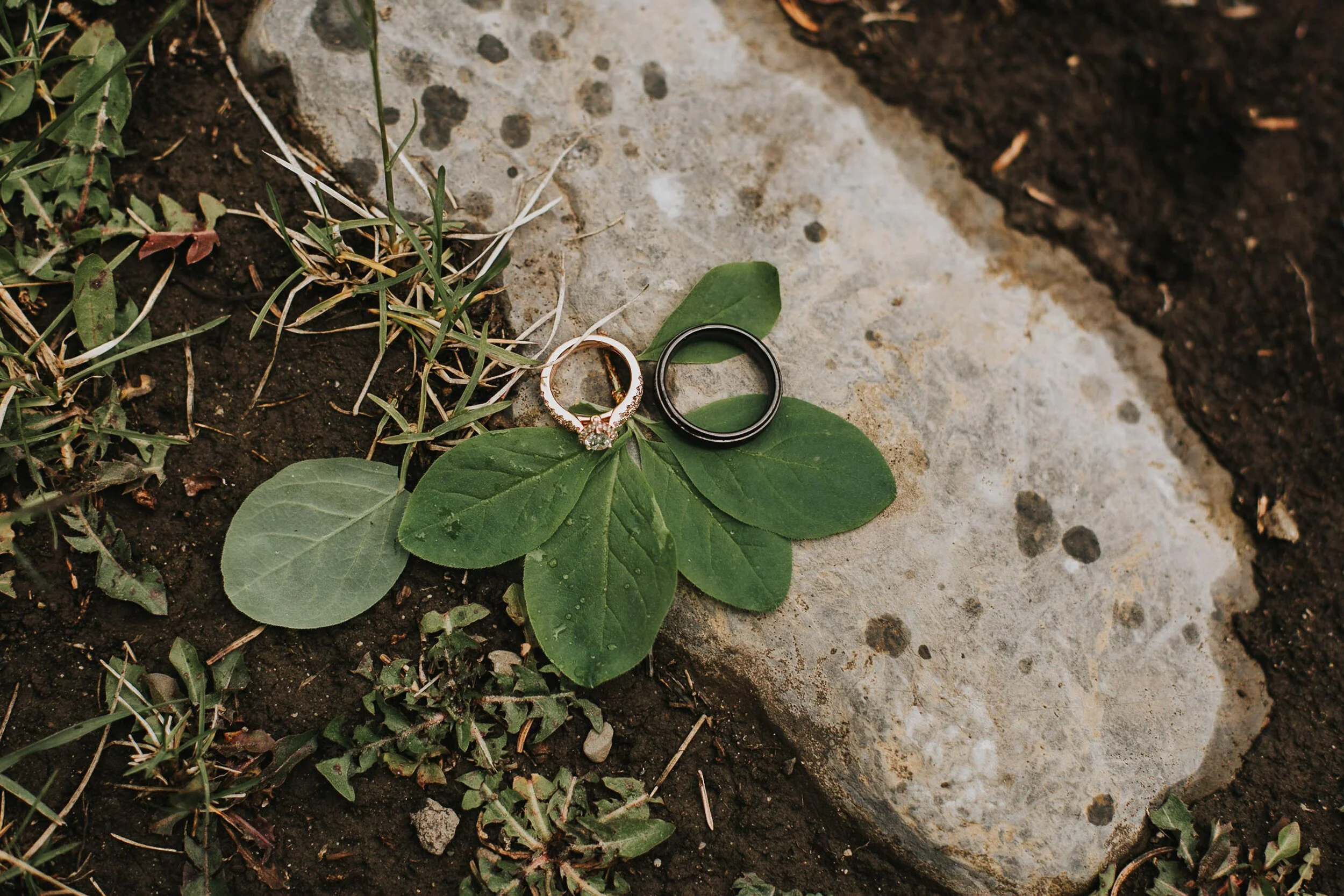 Fairmont-Chateau-Lake-Louise-Wedding