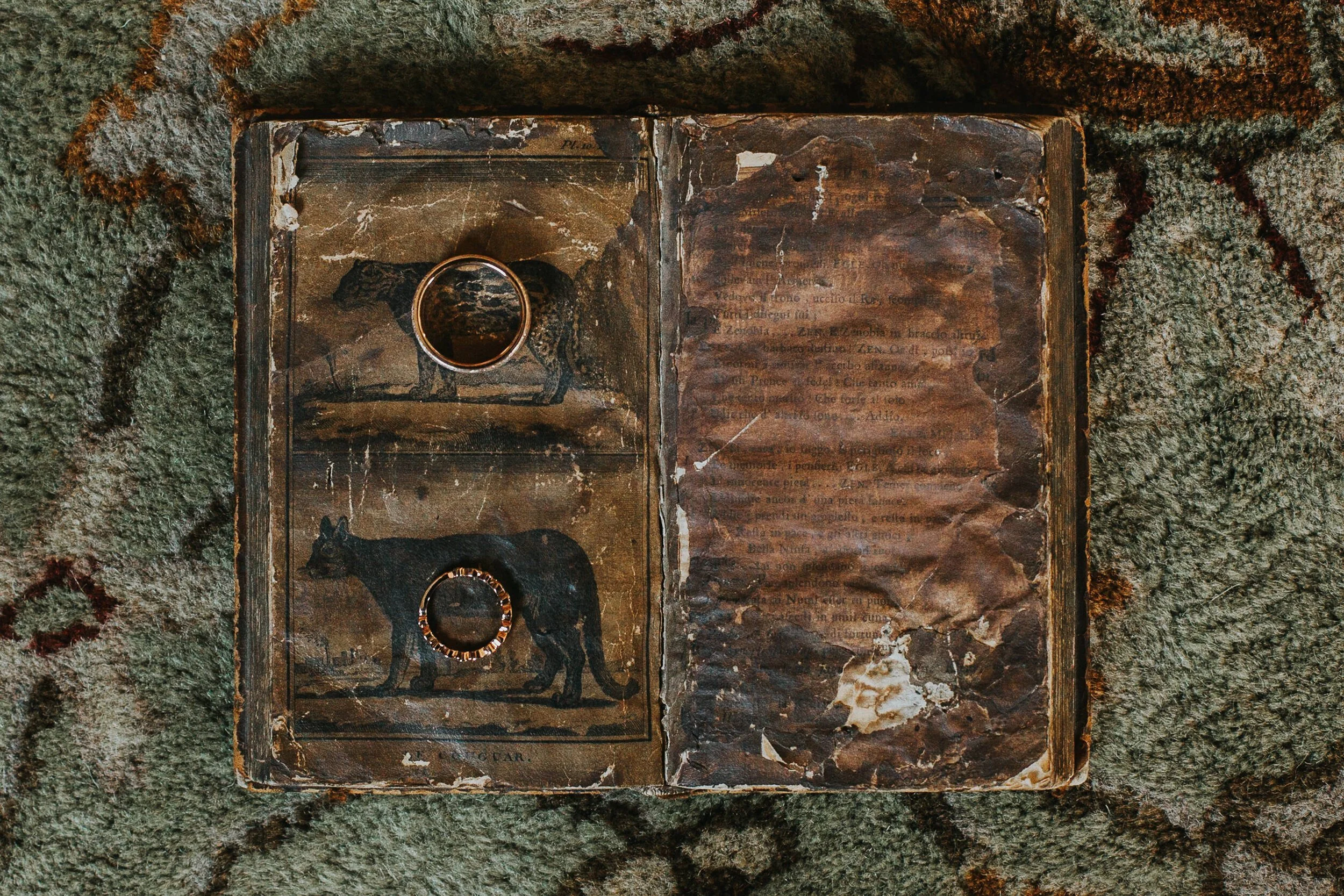 Deane-House-Calgary-Brunch-Elopement