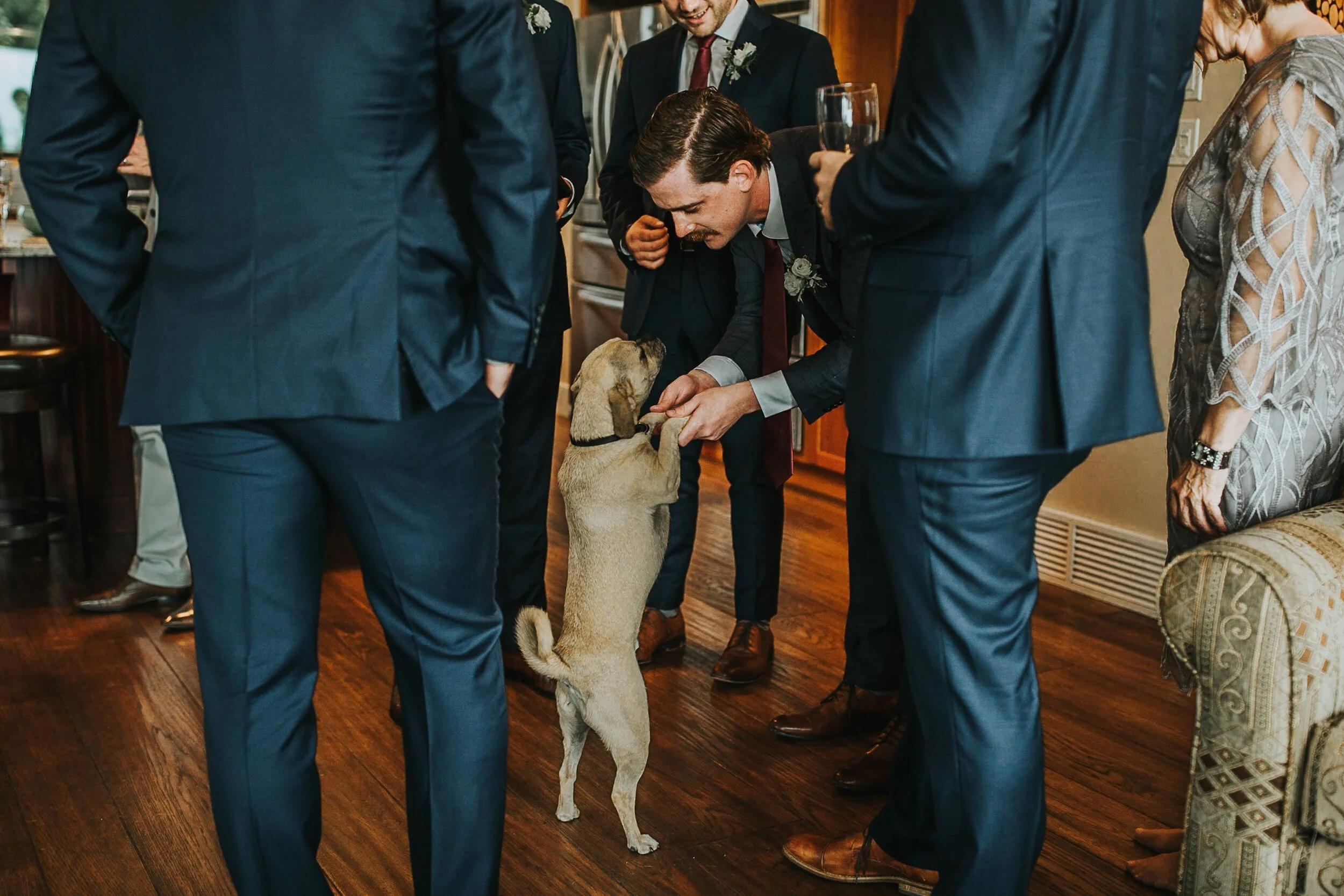 Brady-Creek-Ranch-Invermere-BC-Wedding