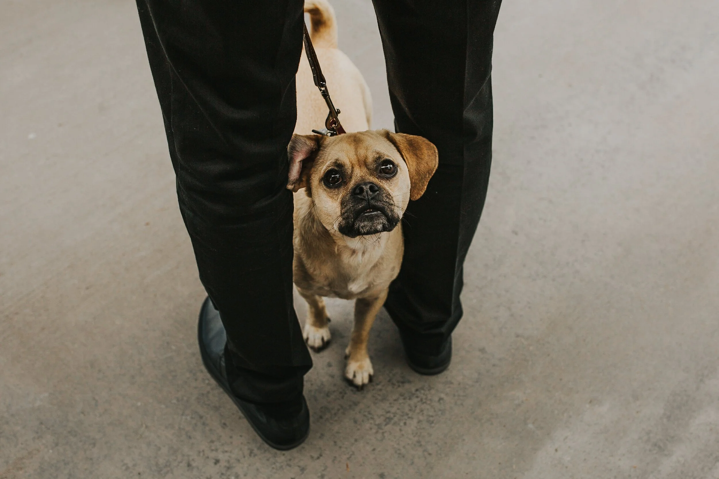 Brady-Creek-Ranch-Invermere-BC-Wedding