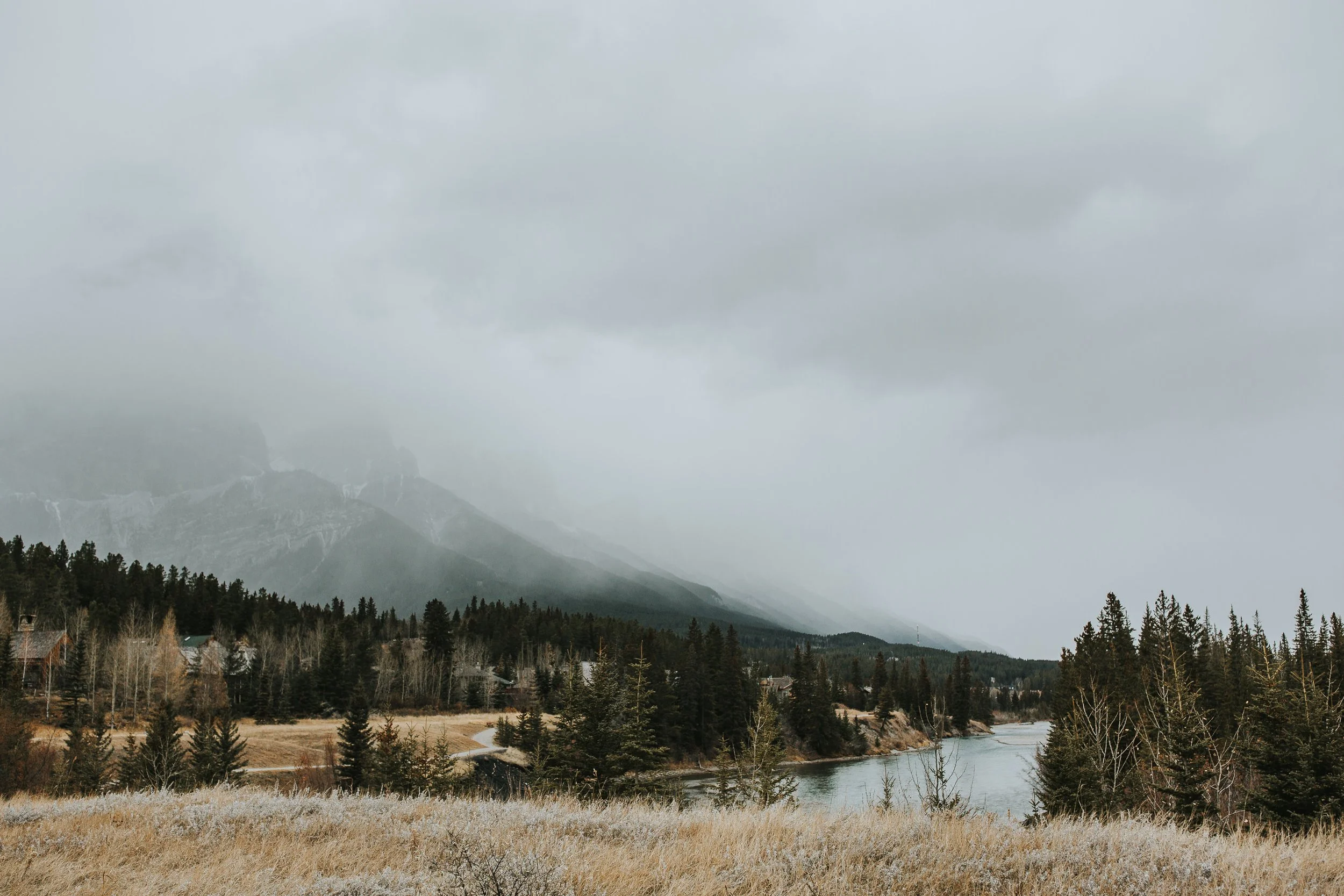 Woodsy-Canmore-Maternity-Session