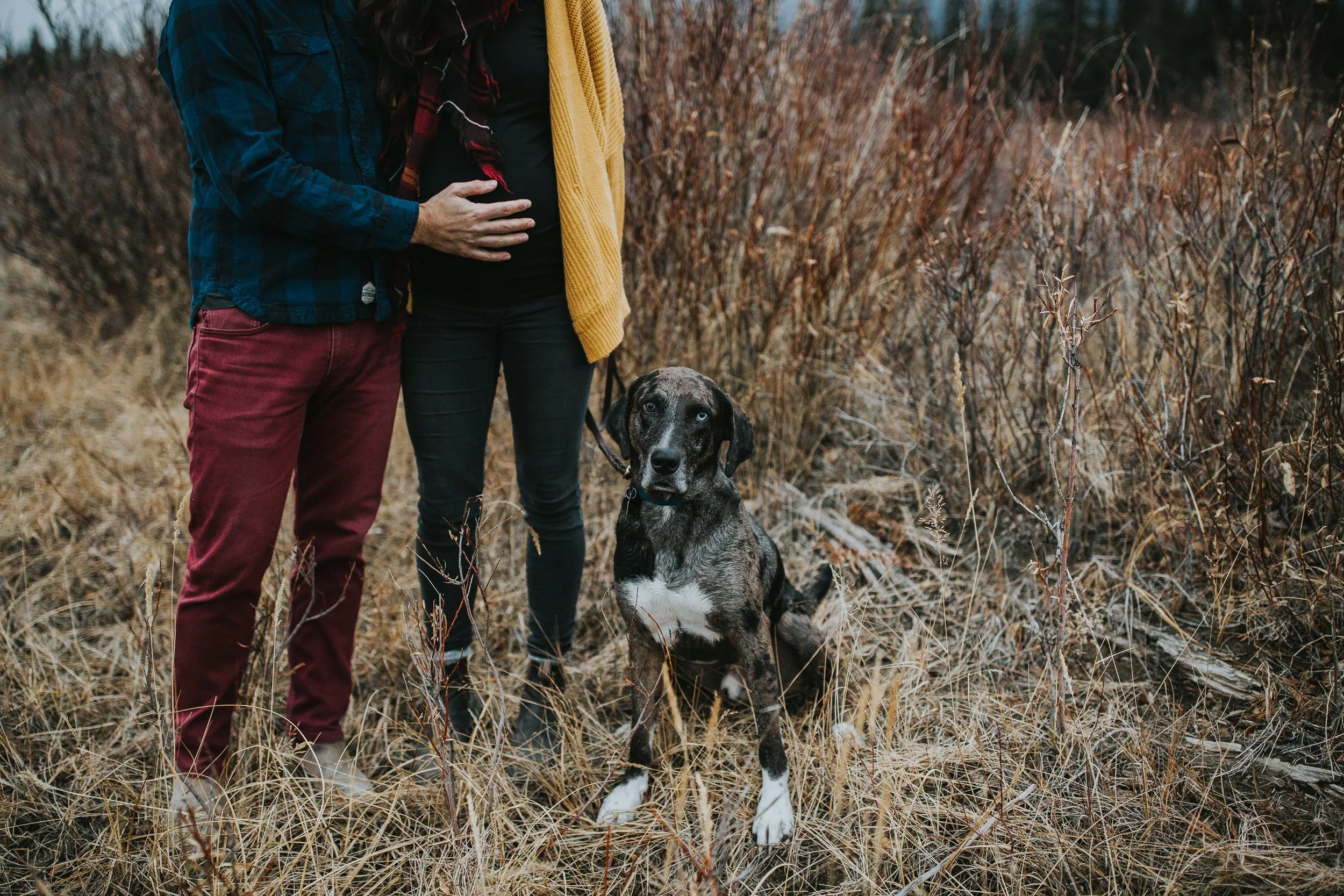 Woodsy-Canmore-Fall-Maternity-Session