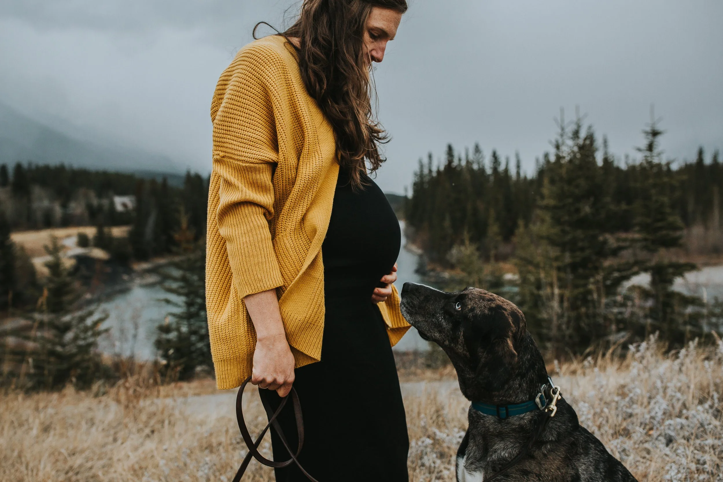 Woodsy-Canmore-Fall-Maternity-Session