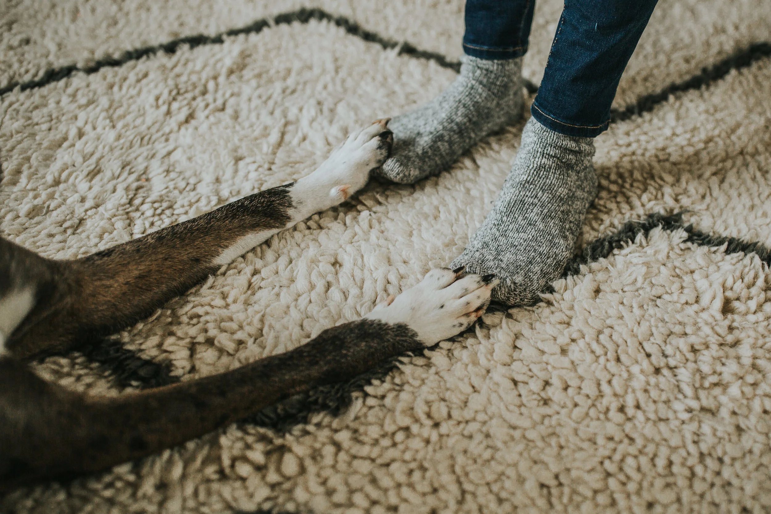 Calgary-At-Home-Lifestyle-Newborn-Session