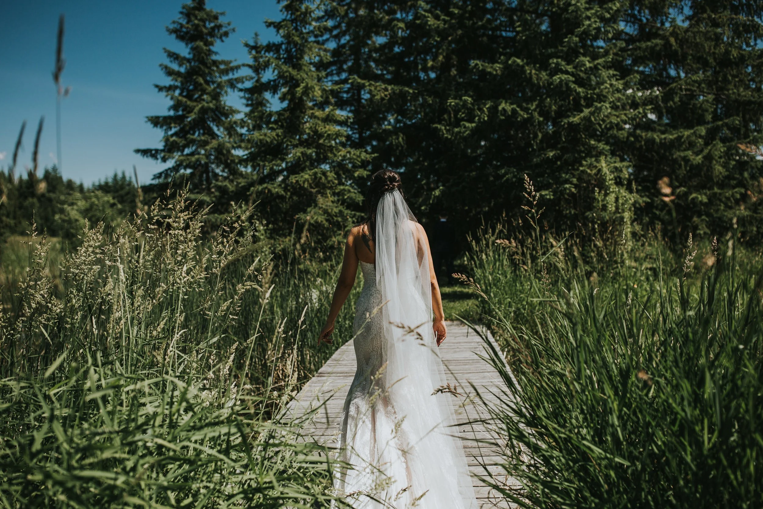 Shuswap-Lake-BC-Wedding-Photographer