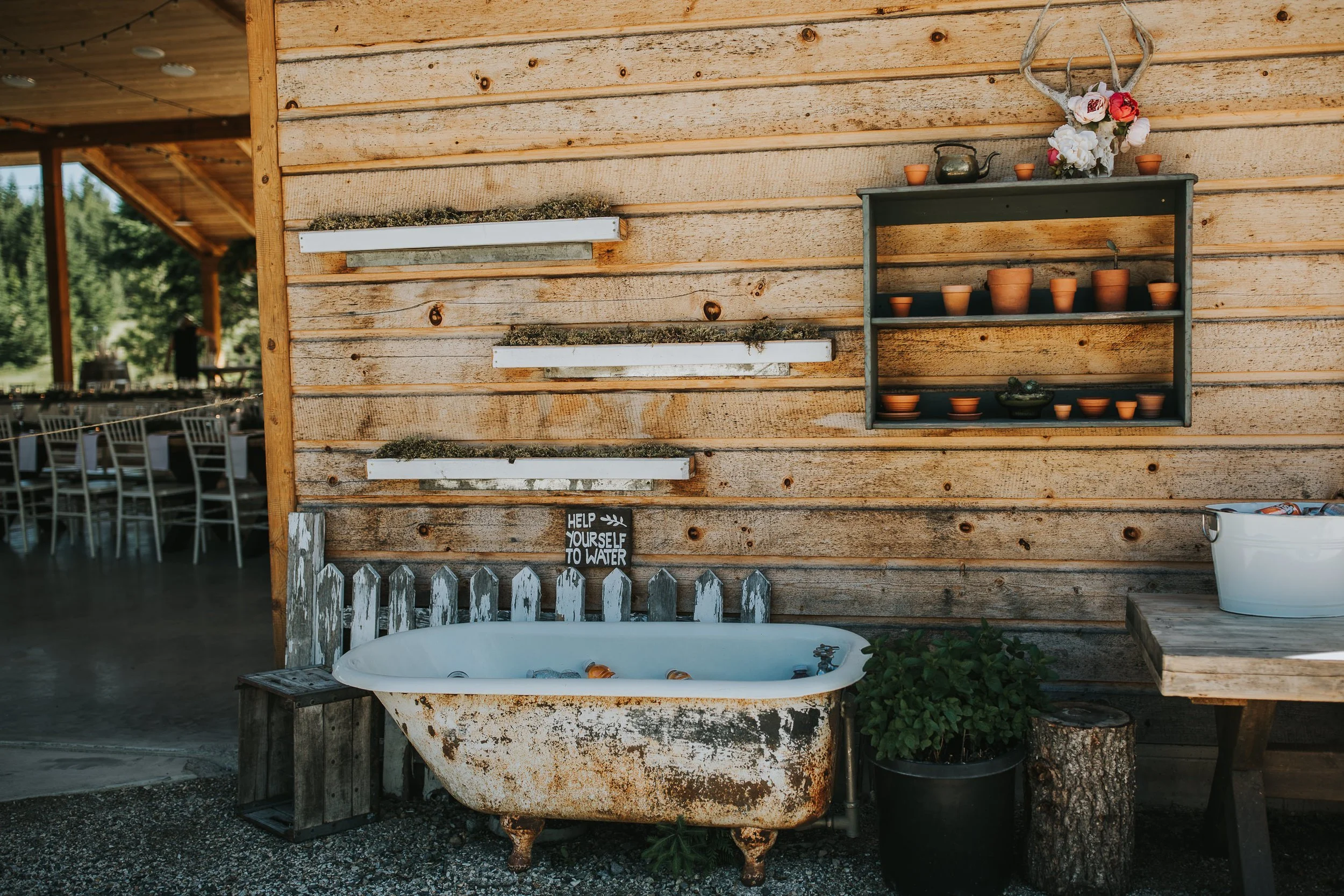 High-Country-Tree-Farm-Wedding