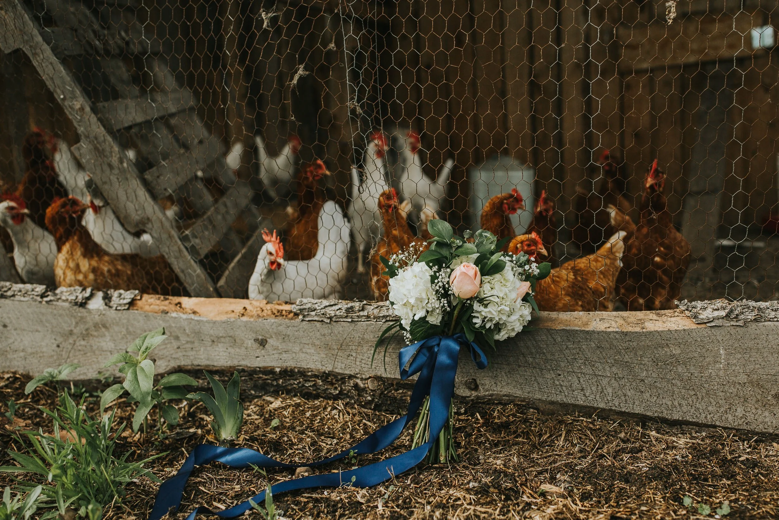 The-Gathered-Farm-Wedding-40
