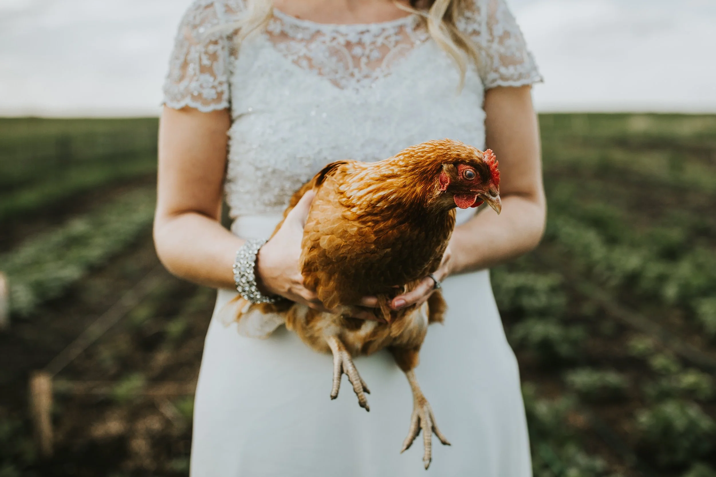The-Gathered-Farm-Wedding-41