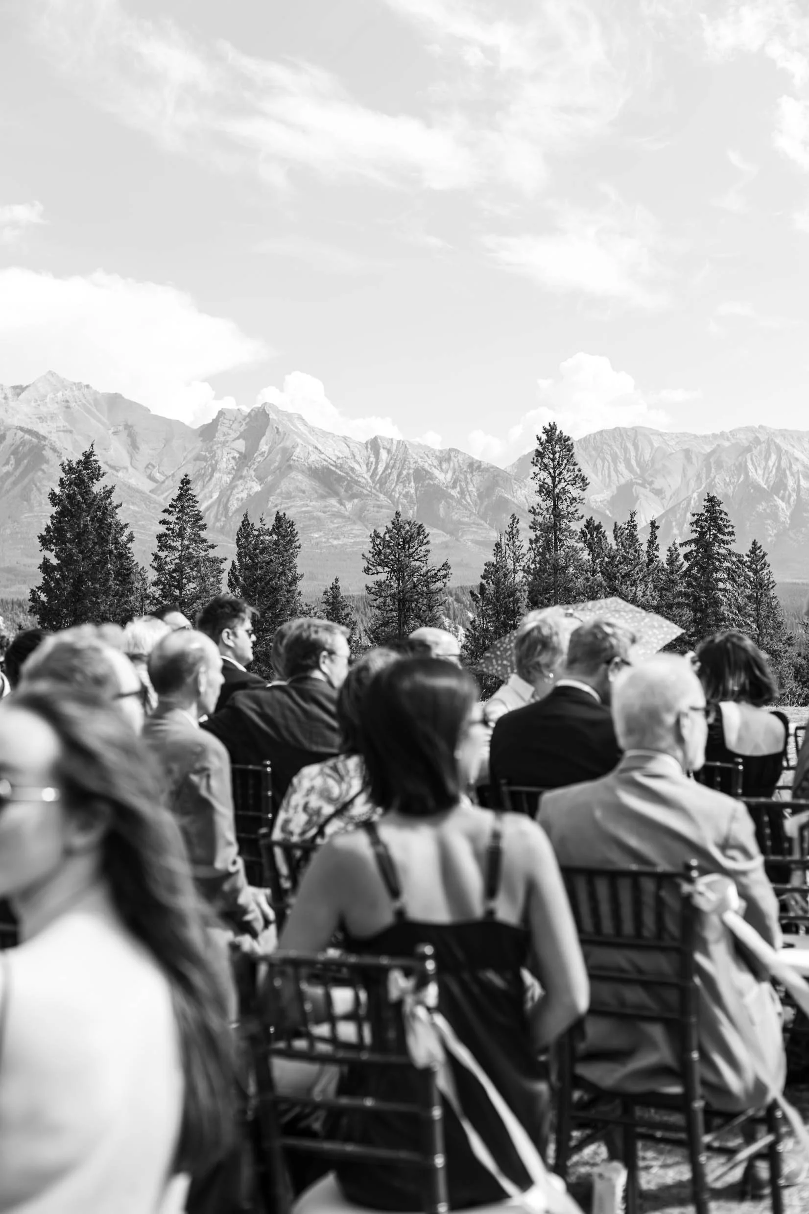 Alberta Wedding Photographer