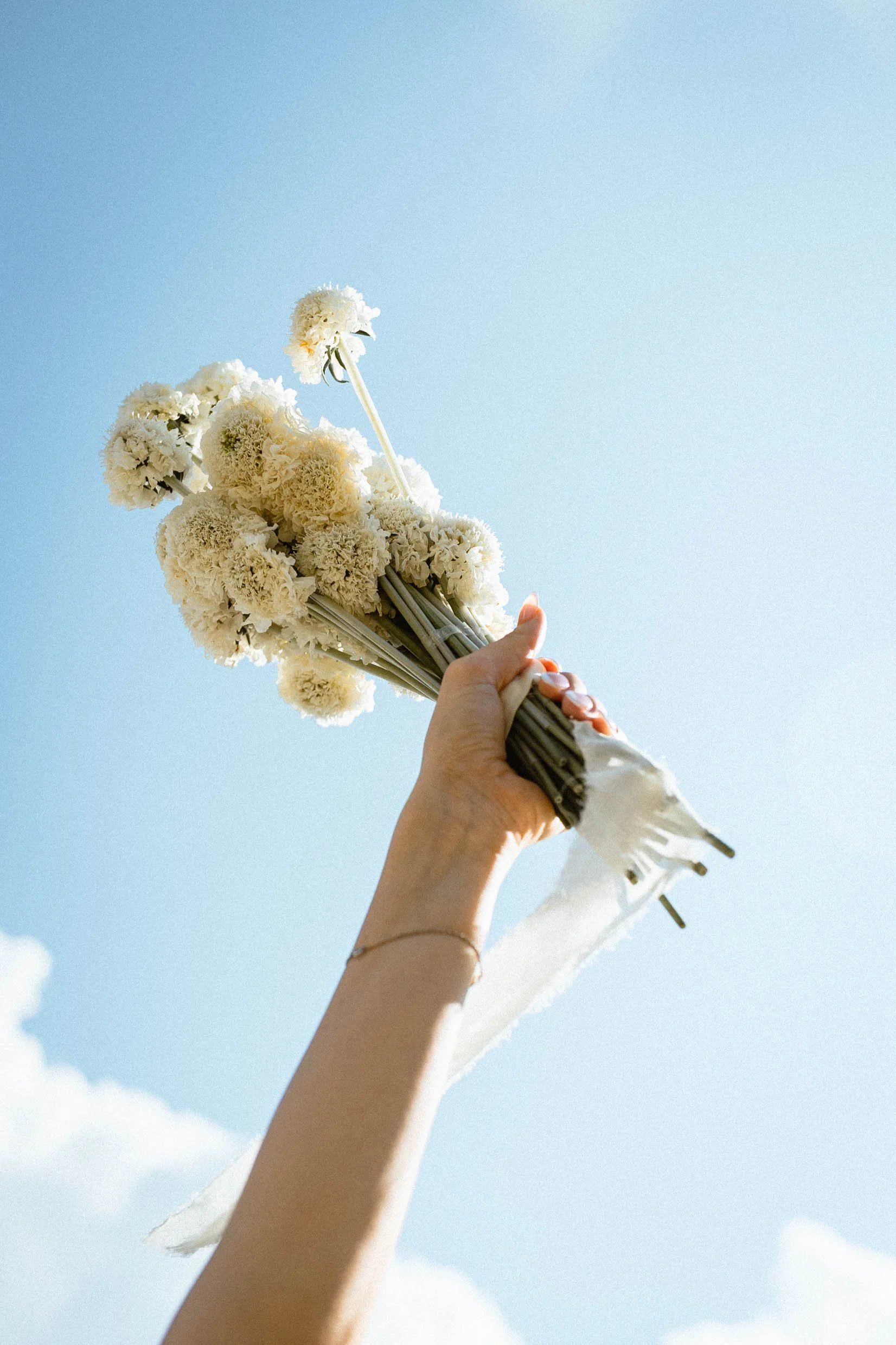 Banff Wedding Photographer