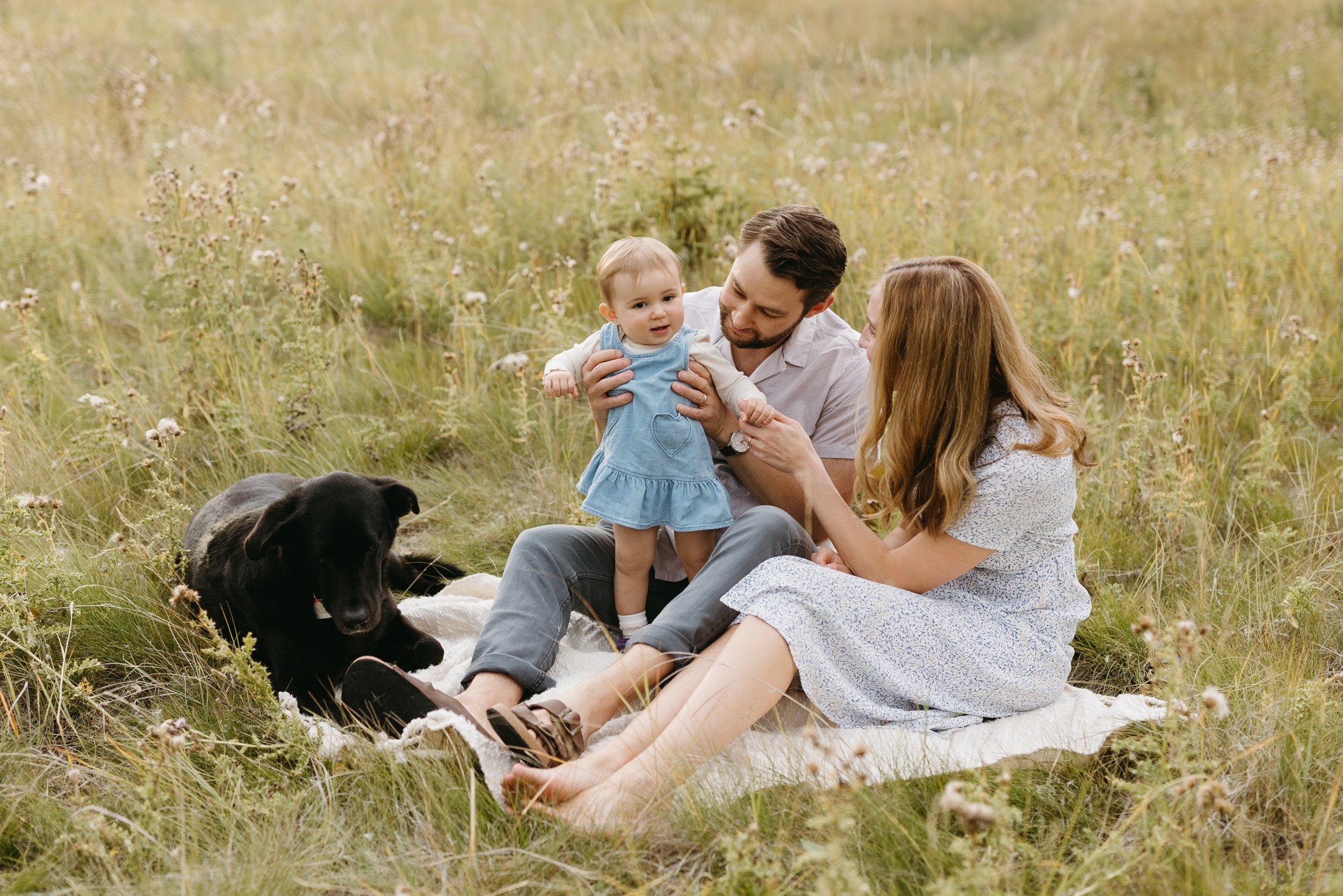 A family of three, with a dog, enjoying a picnic in a grassy field.