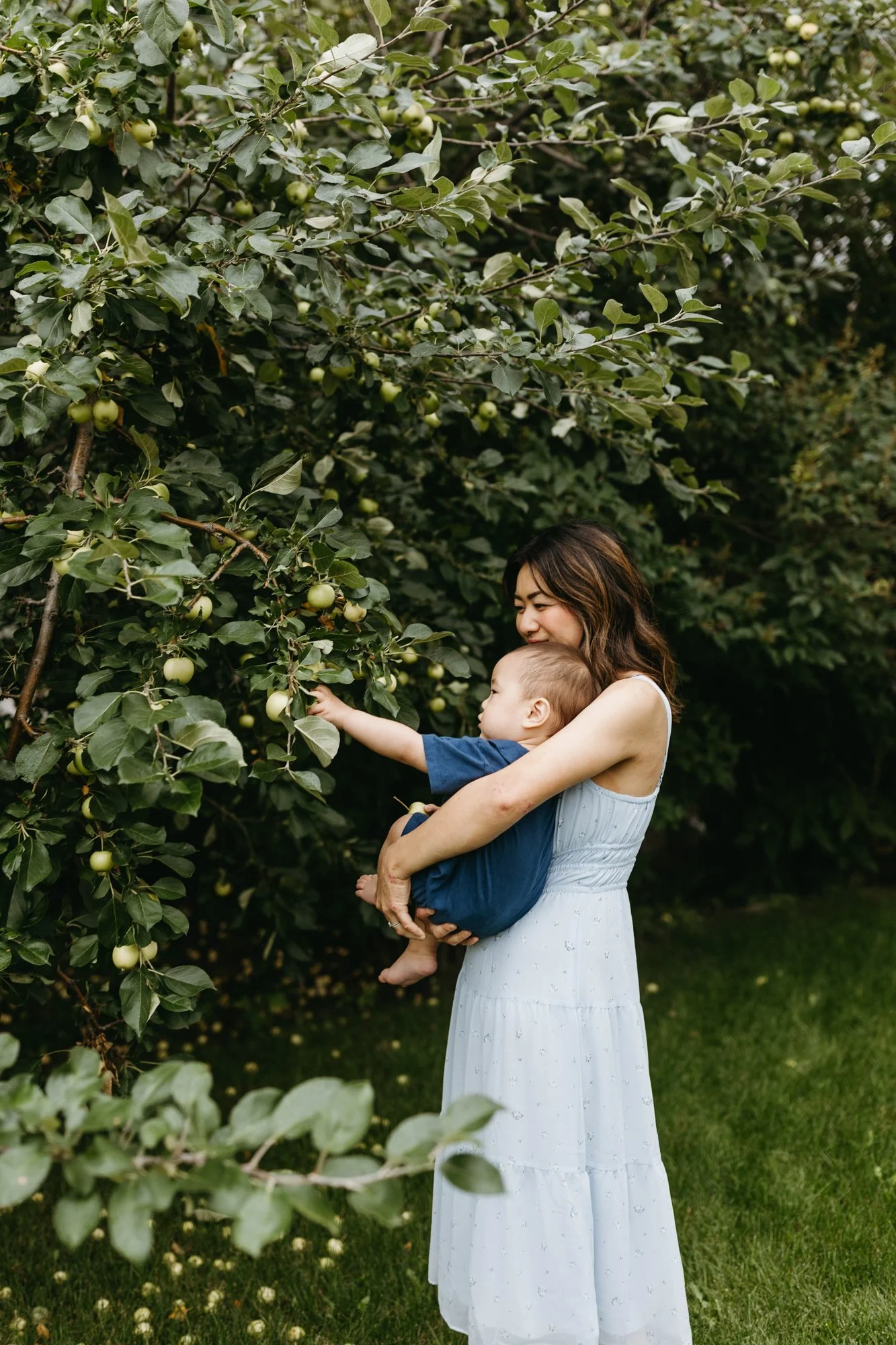 A woman holding a young child in front of an apple tree, with the child reaching for apples.