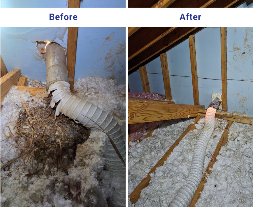 Comparison of attic with damaged and repaired vent pipe installation. Left shows damaged vent pipe with insulation and debris, right shows repaired vent pipe with secure connection and insulation.