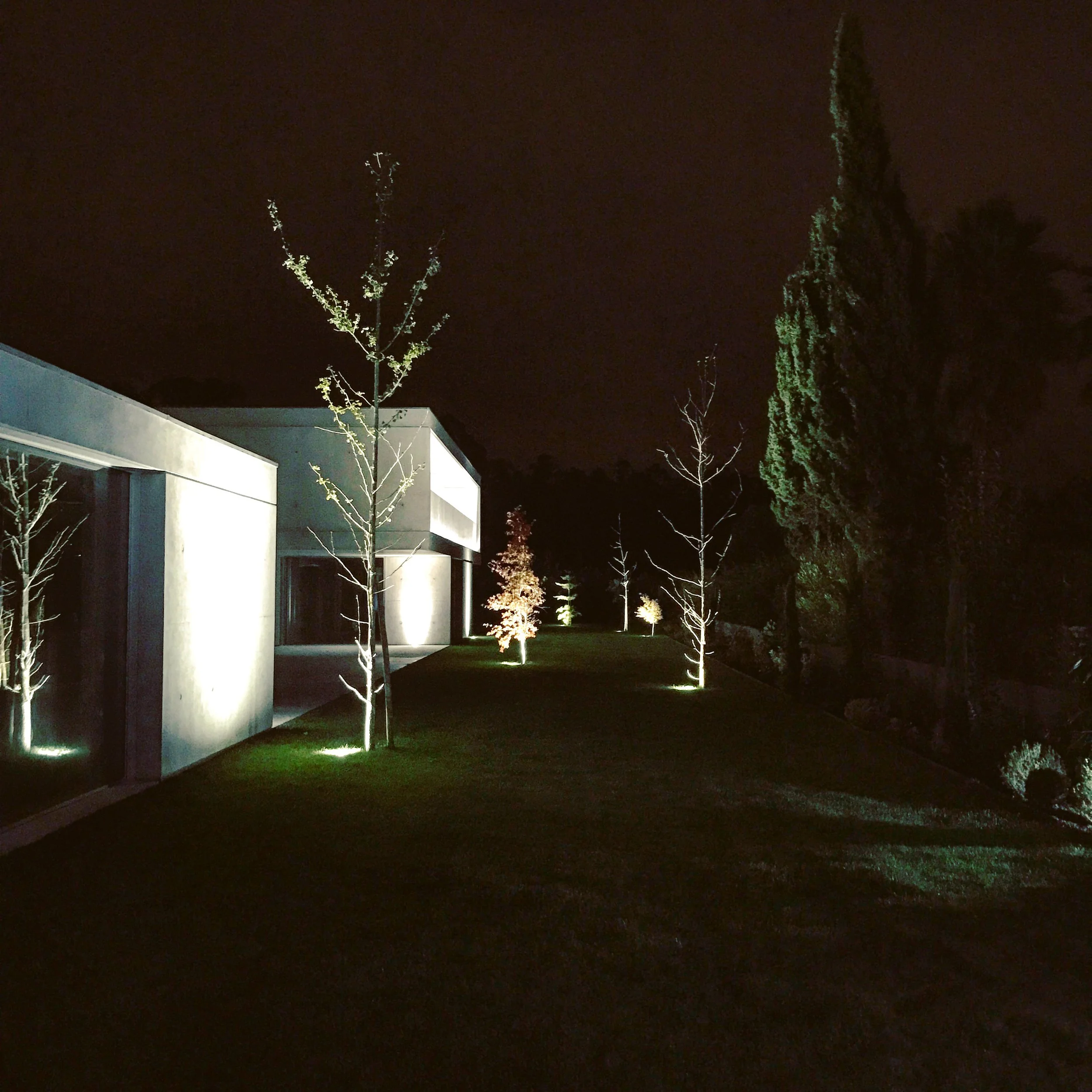 E2BFE1D9-F638-4AAE-8AEC-339AA695D7FB - cópia.JPG