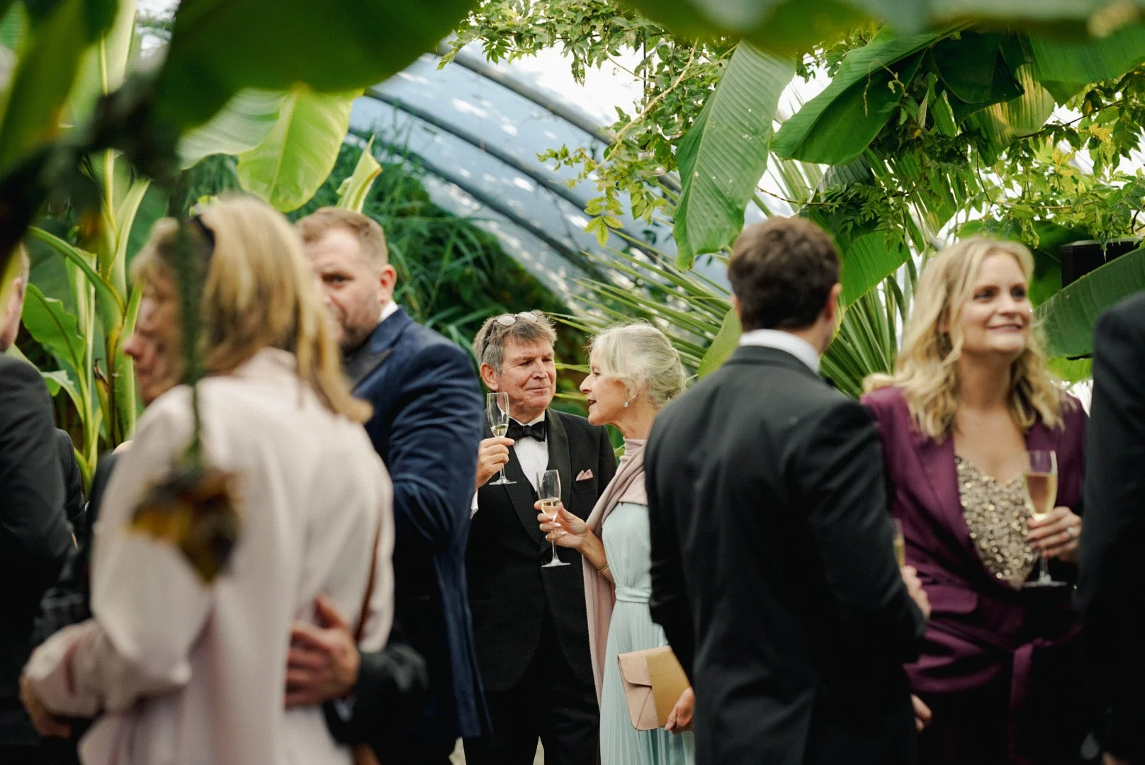People in formal attire socializing and enjoying drinks at an indoor tropical garden or conservatory with lush green plants and large leaves.
