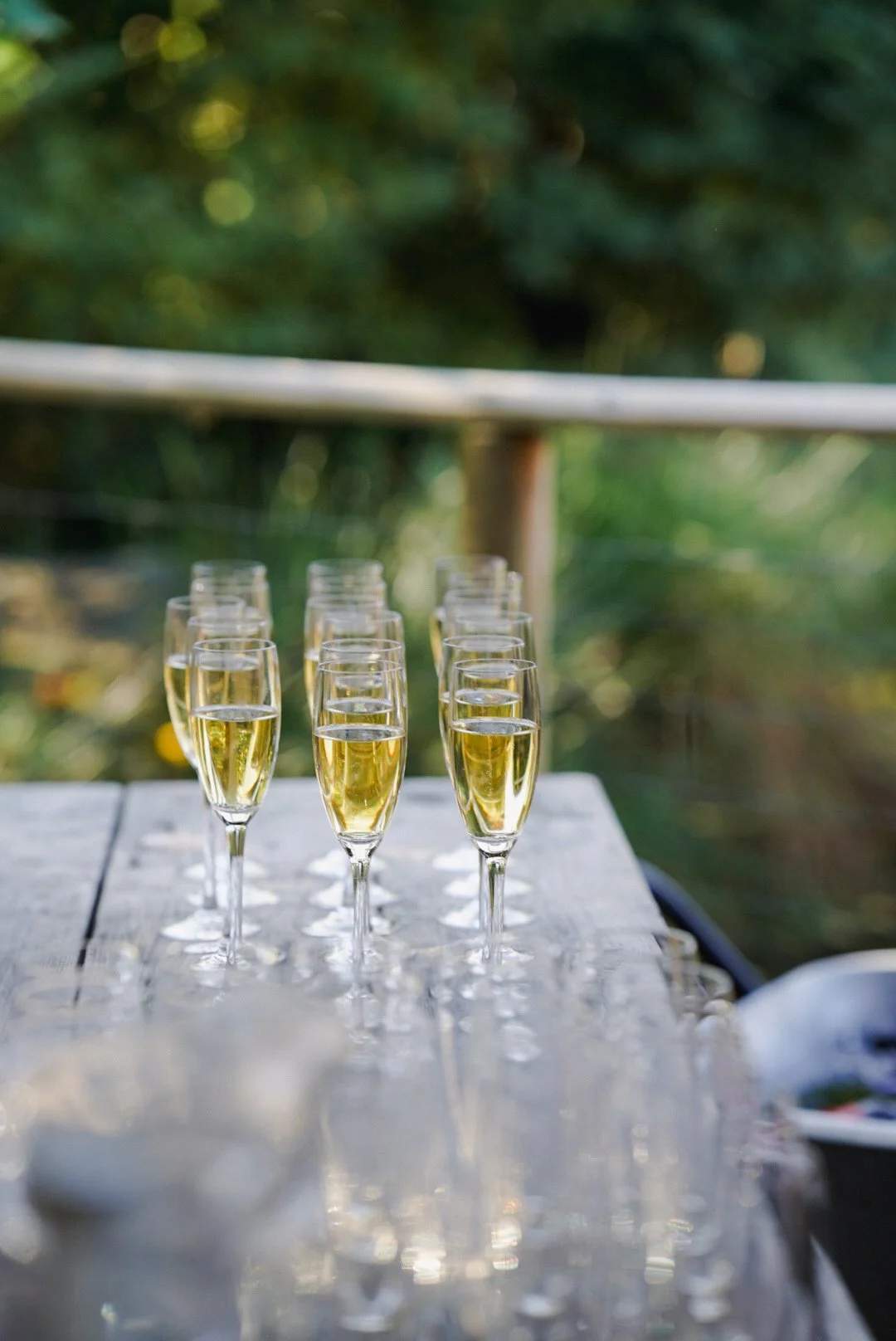 Multiple champagne glasses filled with champagne on a wooden table outdoors, with a blurred green background.