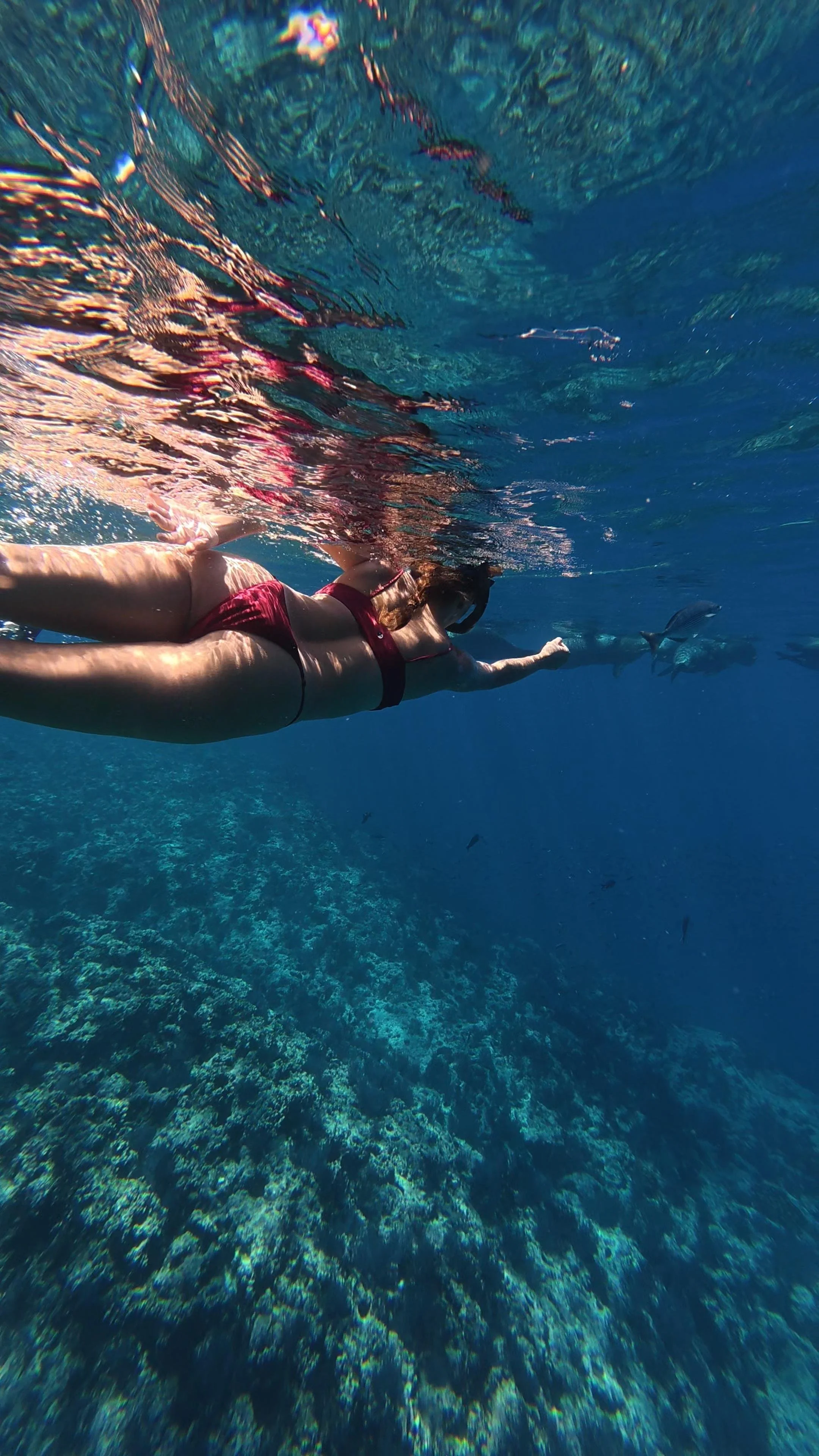 Una mujer guapa en traje de baño rojo nadando en el Mar De Cortez con arrecifes de coral y leones marinos
