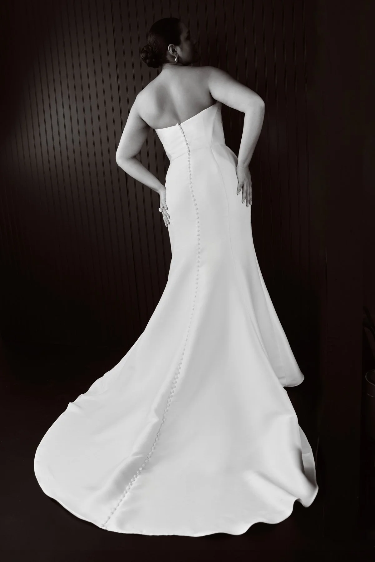 Stella Curve back.jpg