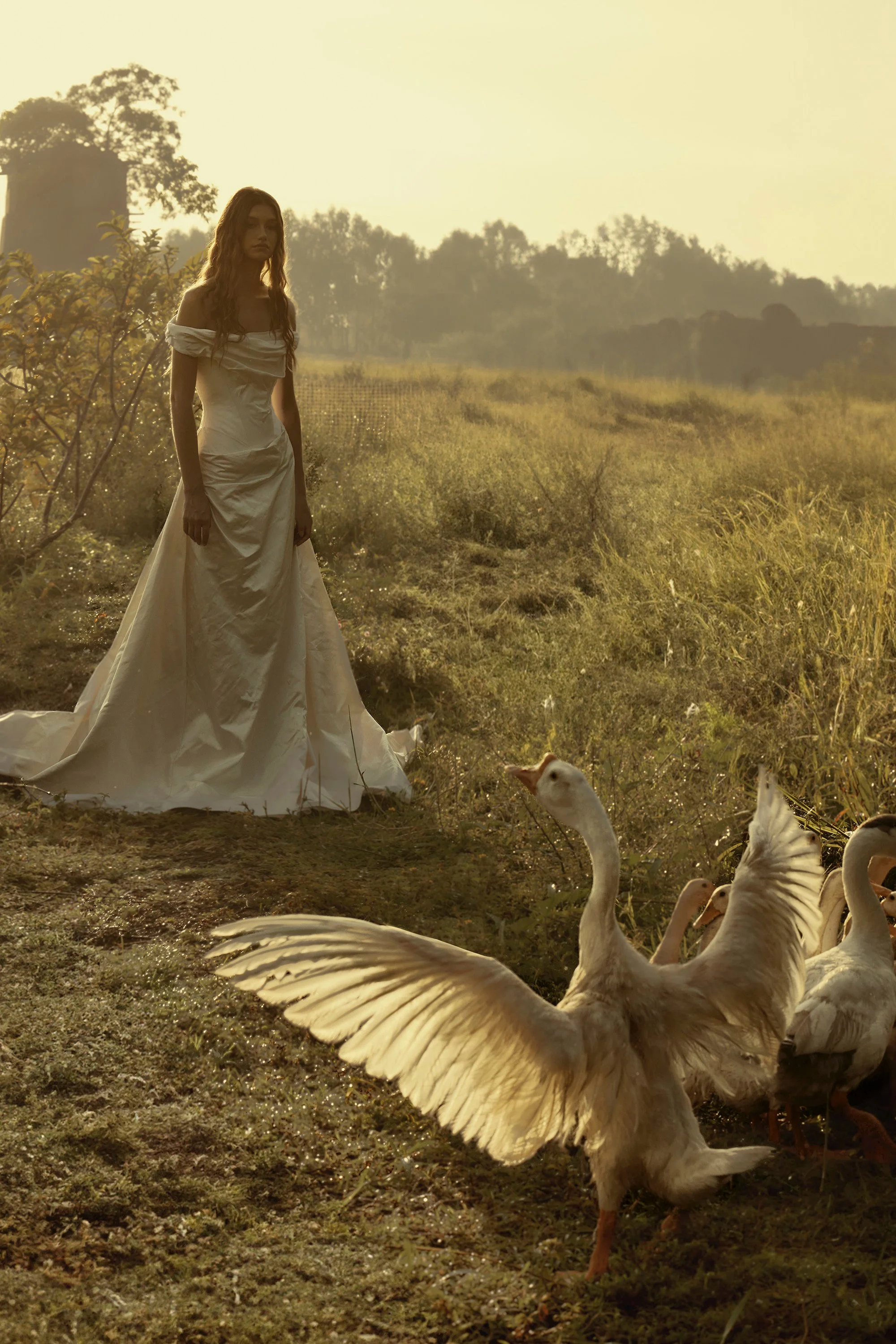 A woman in a white dress standing in a field with sailing birds, with trees and a water tower in the background at sunset.
