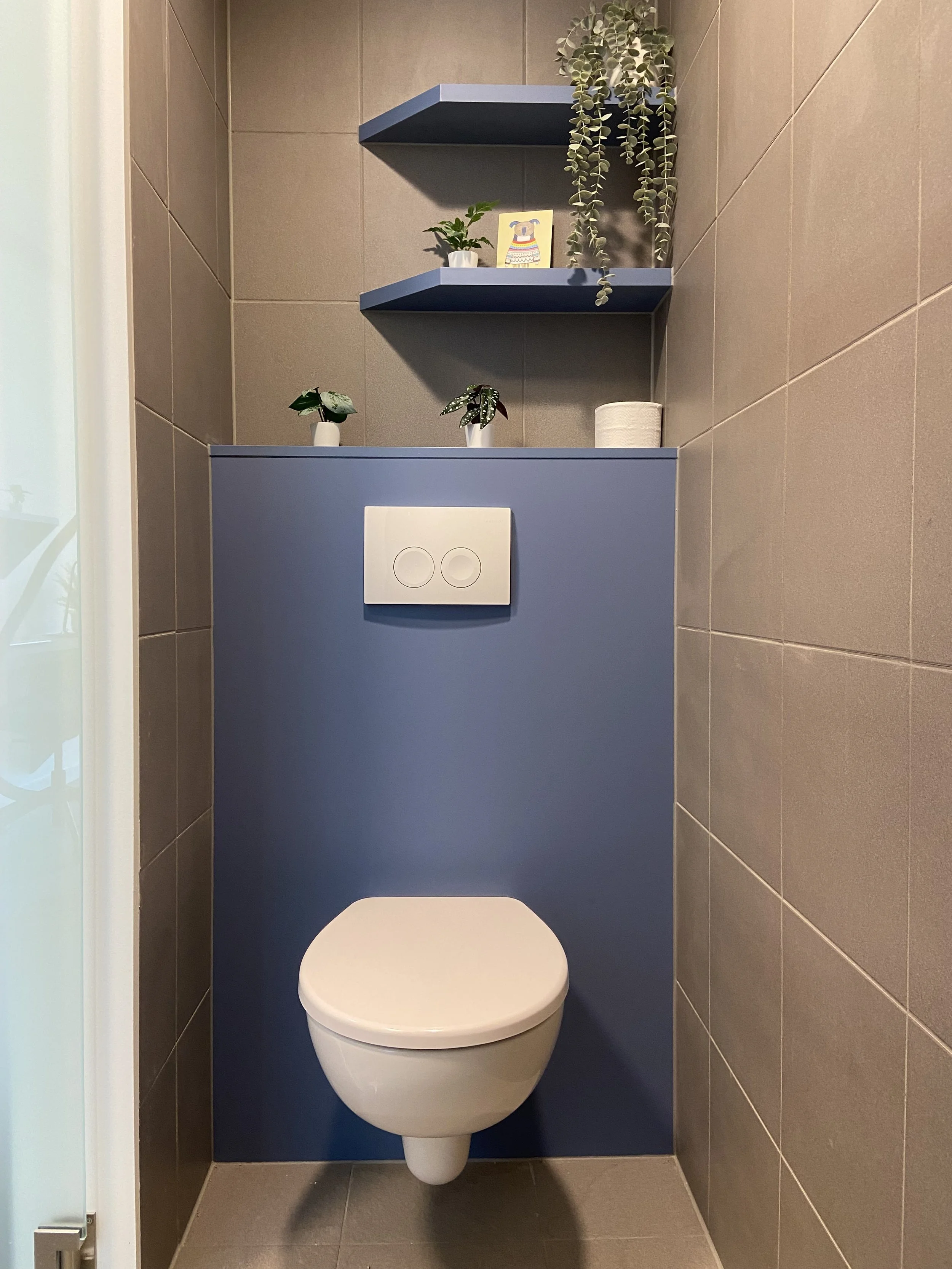 A modern bathroom with a wall-mounted white toilet, a blue tile wall, and open blue shelves holding potted plants and decorative items.