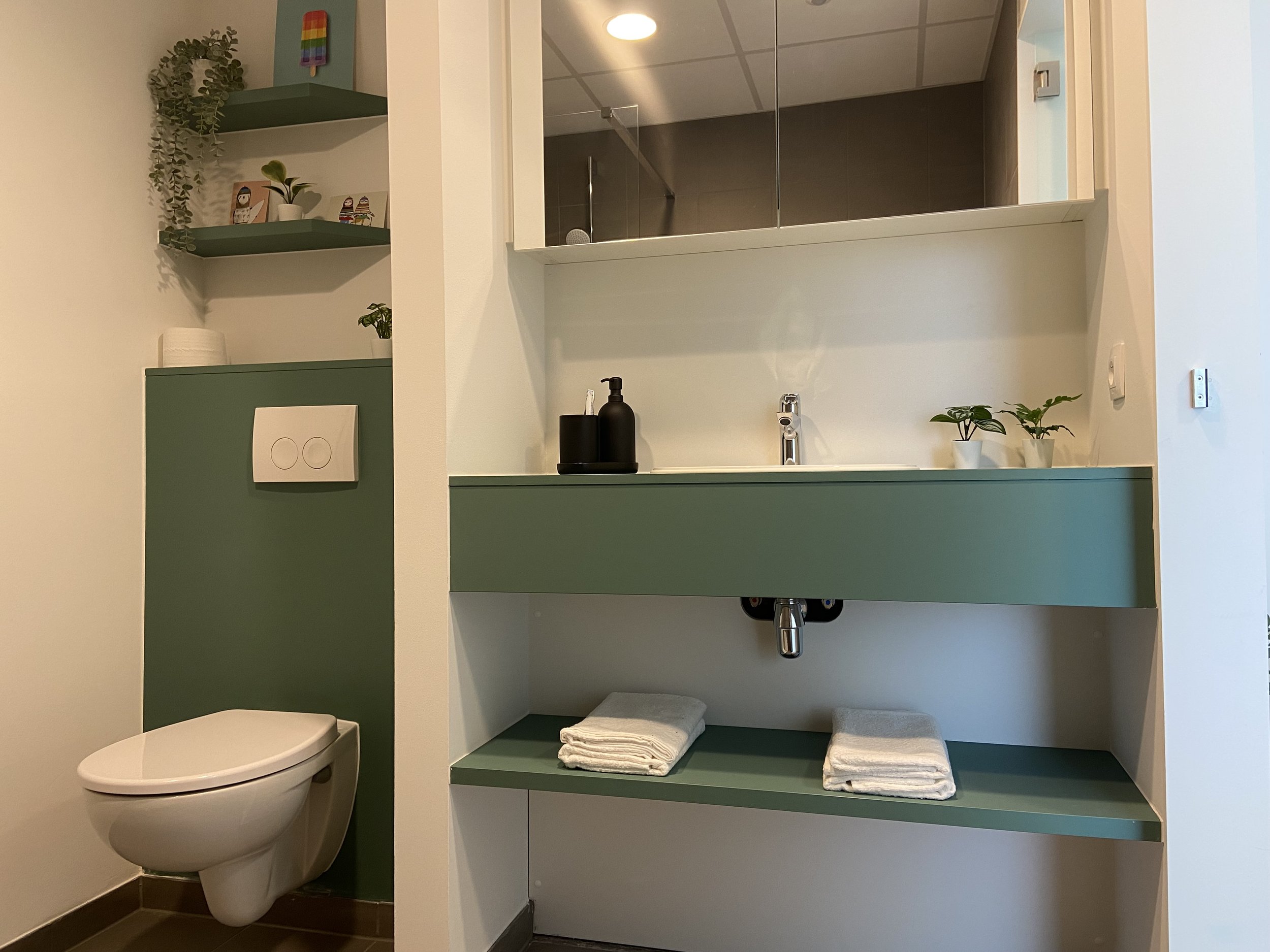 A modern bathroom with a wall-mounted toilet, a green vanity with a sink, a large mirror, and decorative plants on the vanity and shelves.
